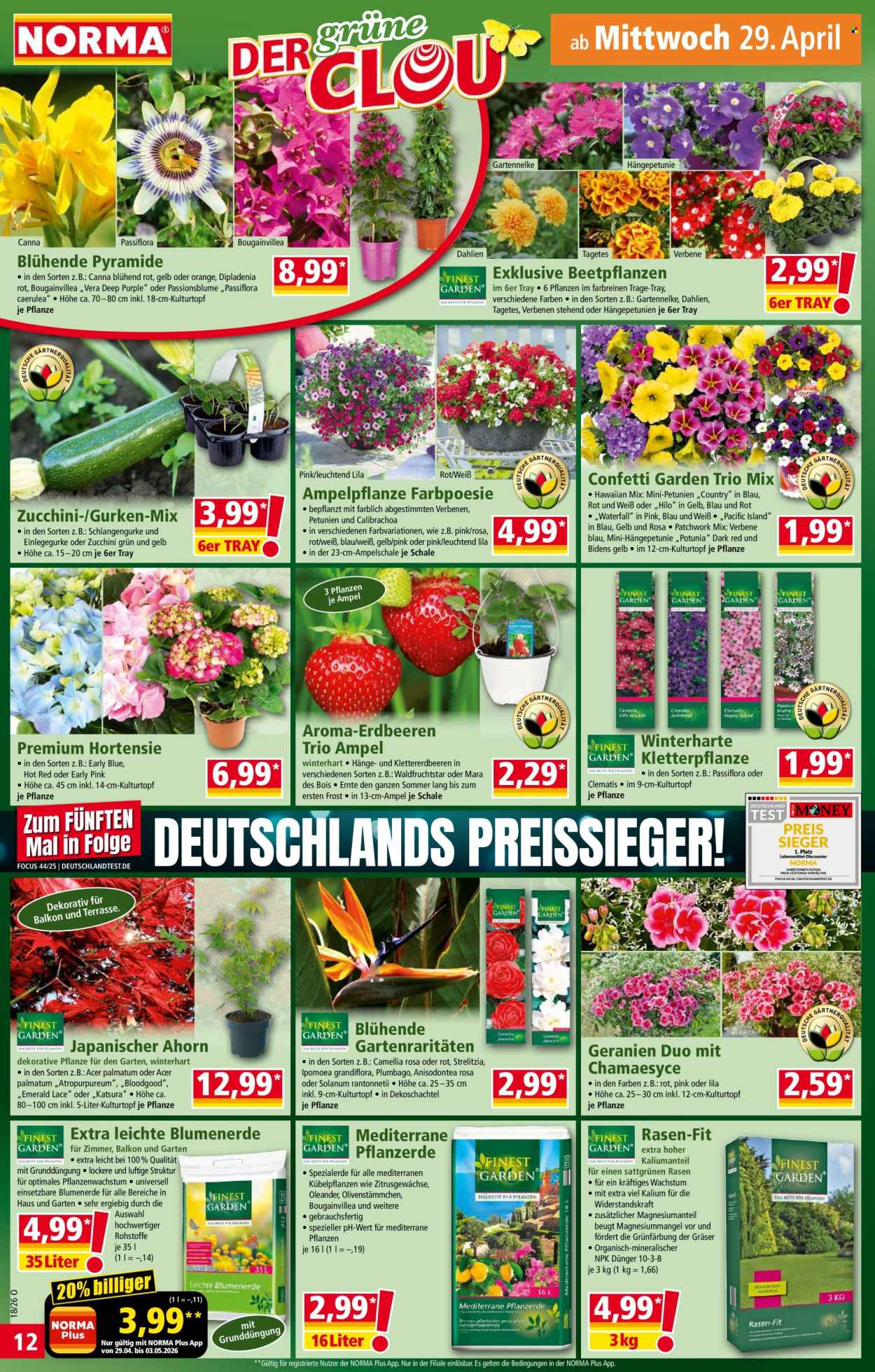 Norma Prospekte  - 27.04.2026 - 3.05.2026. Seite 12