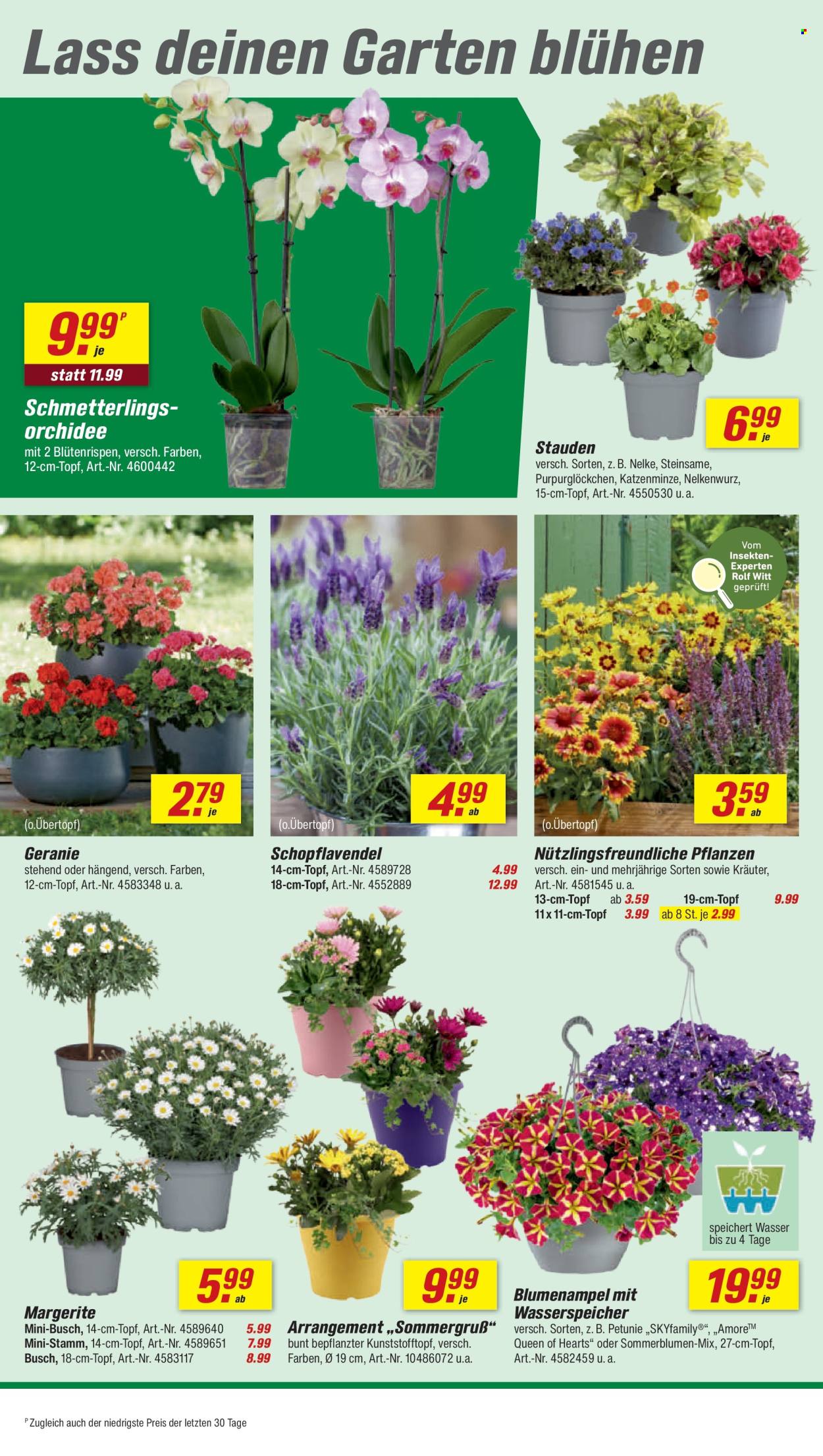 toom Baumarkt Prospekte  - 18.04.2026 - 24.04.2026. Seite 6