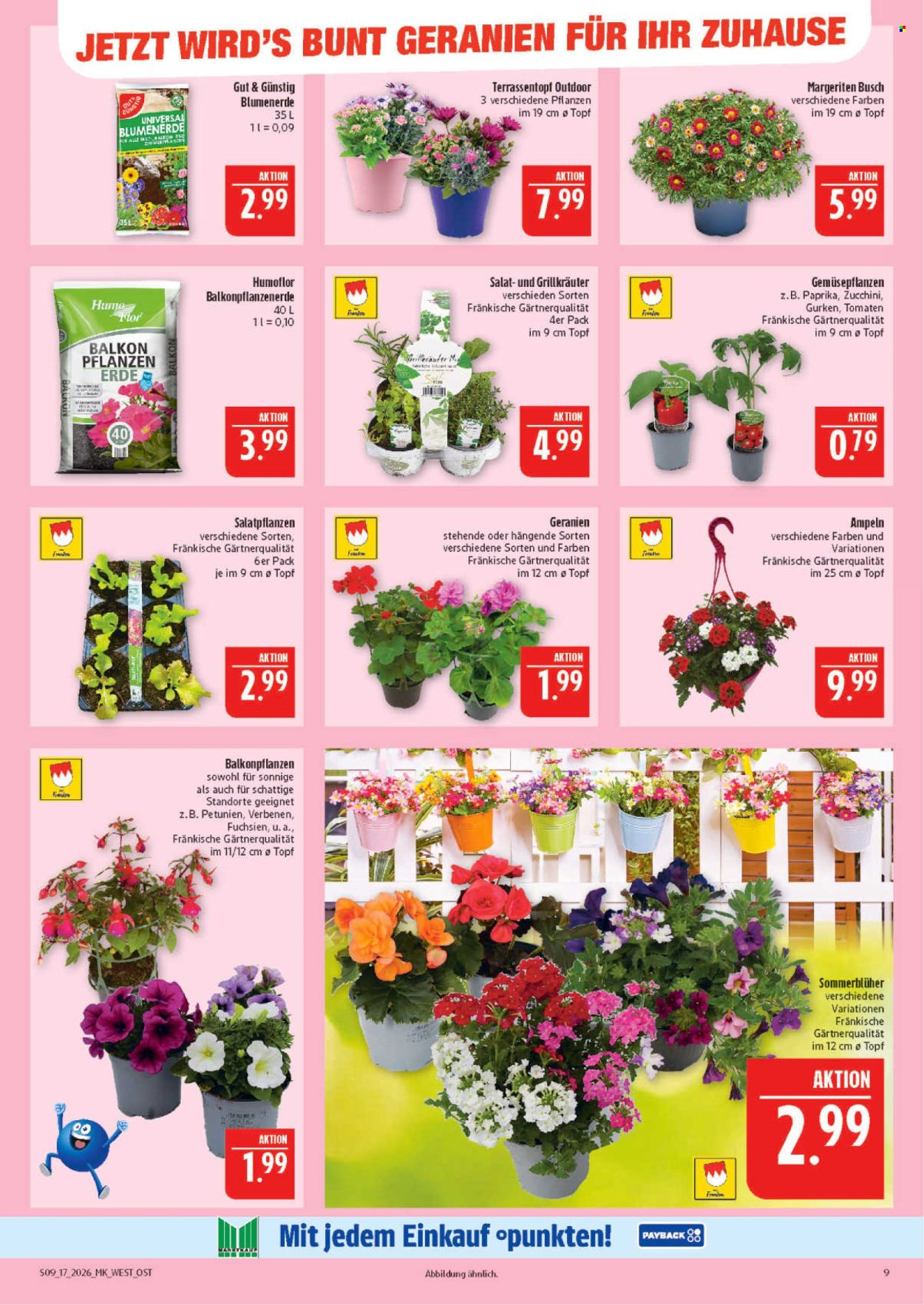 Marktkauf Prospekte  - 20.04.2026 - 25.04.2026. Seite 9