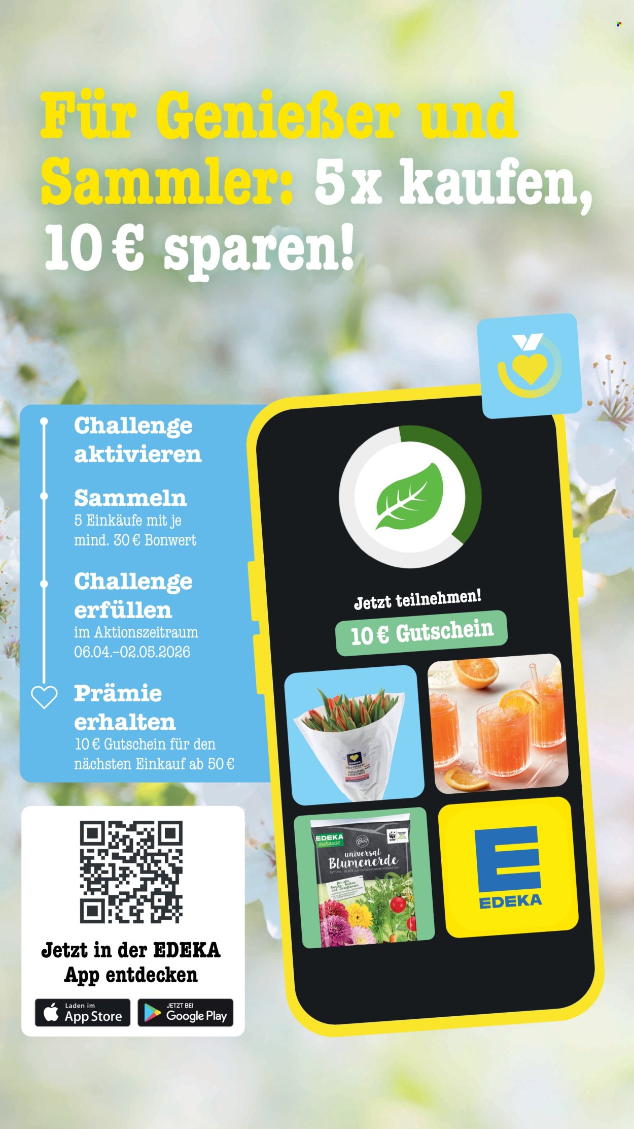 Scheck-in Prospekte  - 20.04.2026 - 25.04.2026. Seite 13
