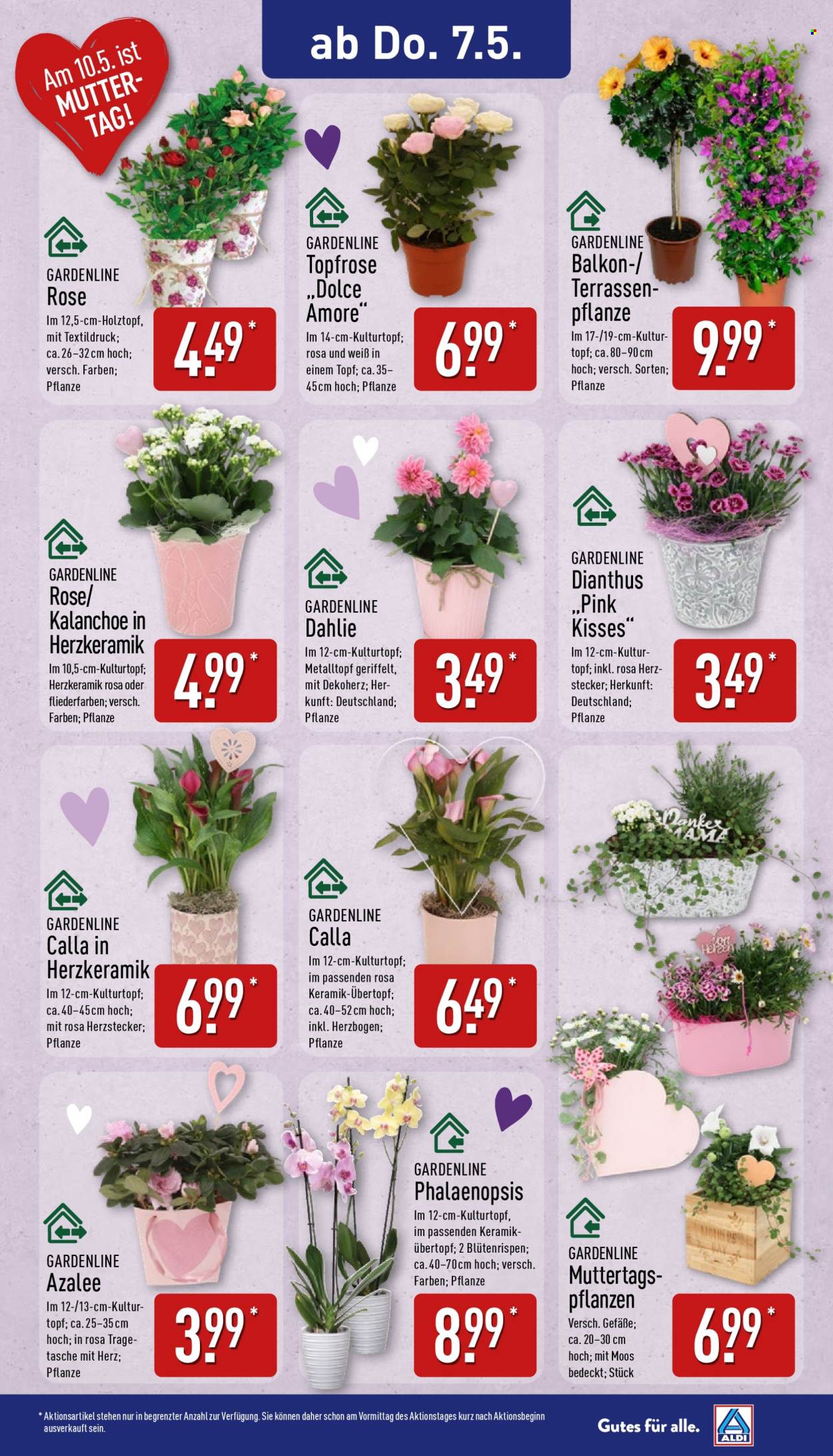 ALDI Nord Prospekte  - 20.04.2026 - 20.04.2026. Seite 14