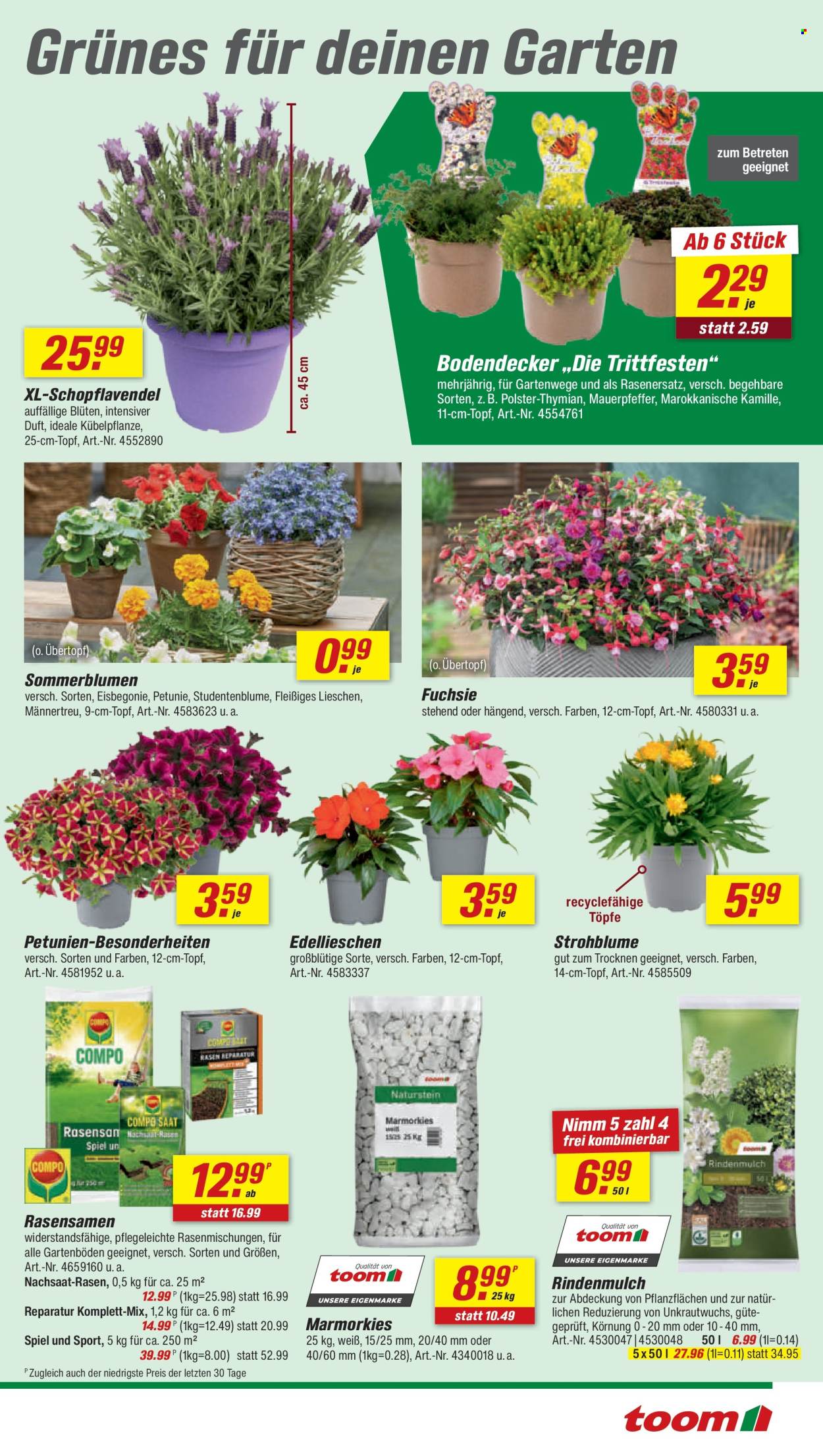 toom Baumarkt Prospekte  - 25.04.2026 - 1.05.2026. Seite 3
