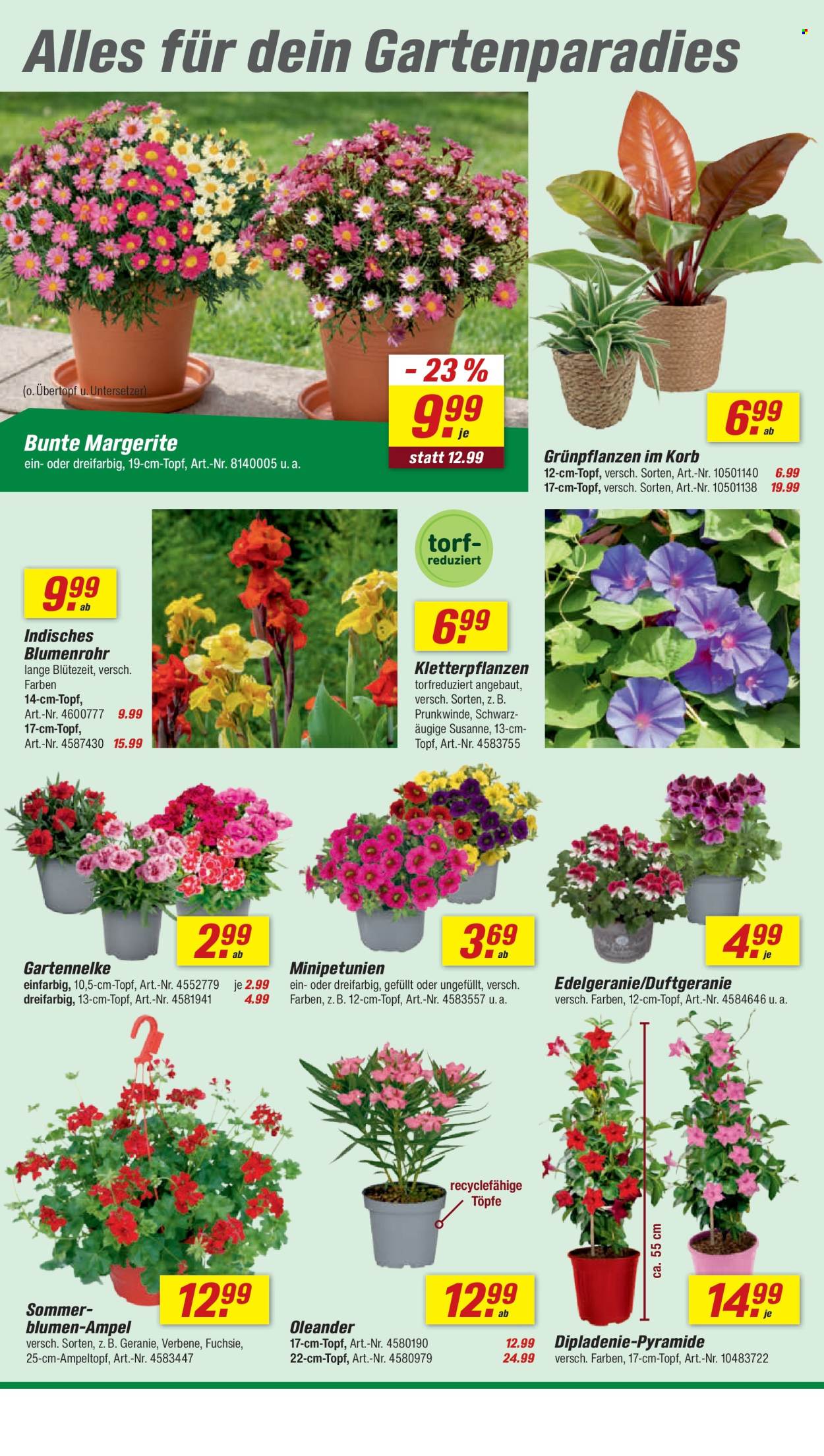 toom Baumarkt Prospekte  - 25.04.2026 - 1.05.2026. Seite 4