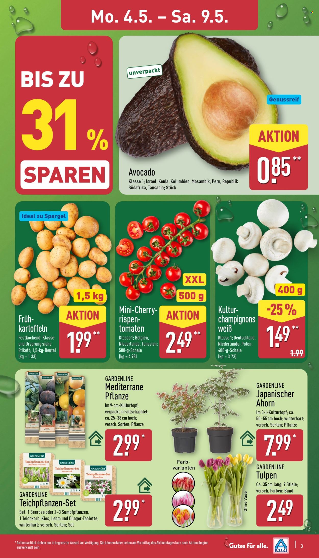 ALDI Nord Prospekte  - 4.05.2026 - 9.05.2026. Seite 3