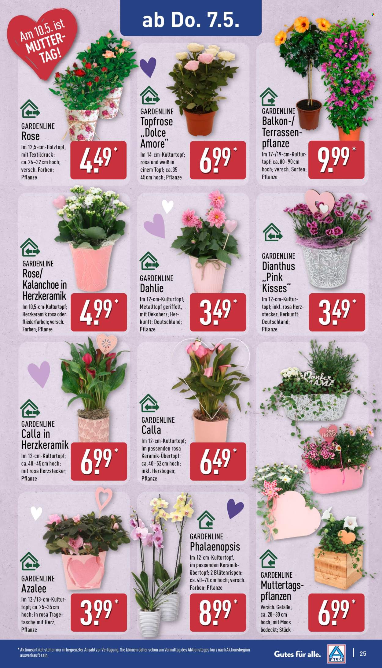 ALDI Nord Prospekte  - 4.05.2026 - 9.05.2026. Seite 25
