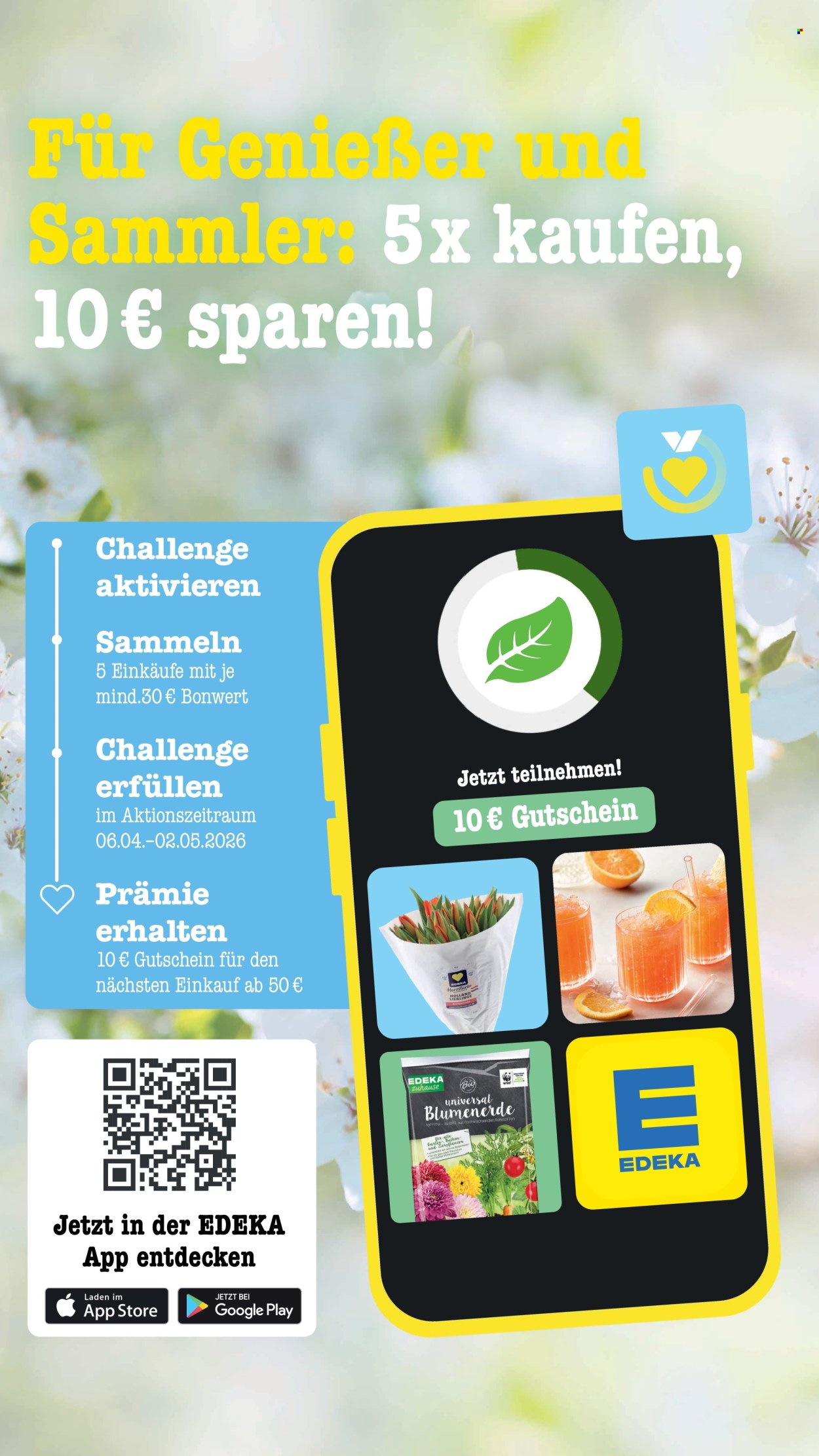 Scheck-in Prospekte  - 27.04.2026 - 2.05.2026. Seite 33