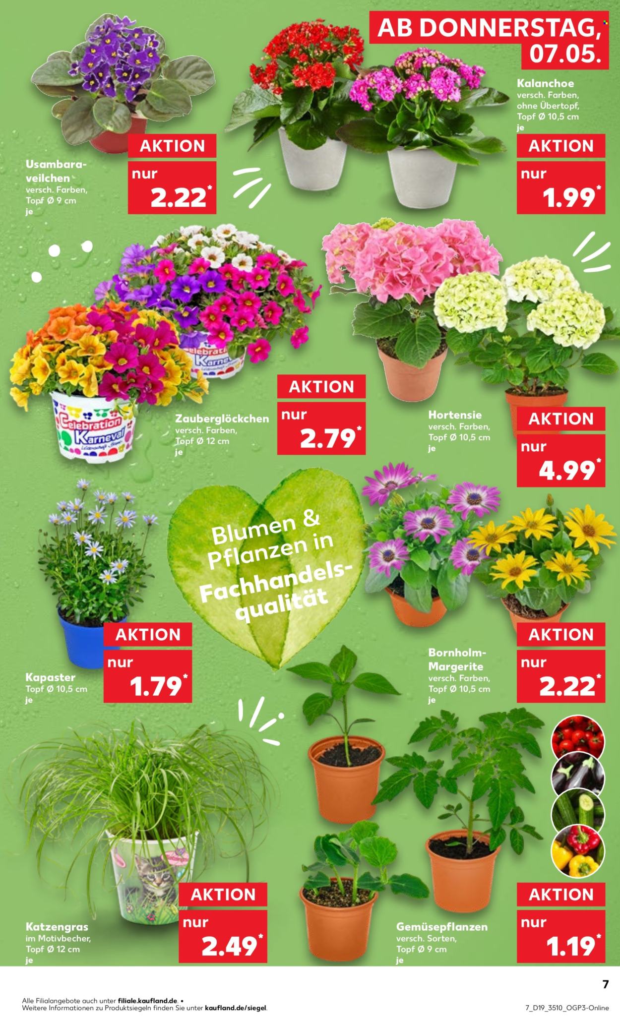Kaufland Prospekte  - 7.05.2026 - 13.05.2026. Seite 7