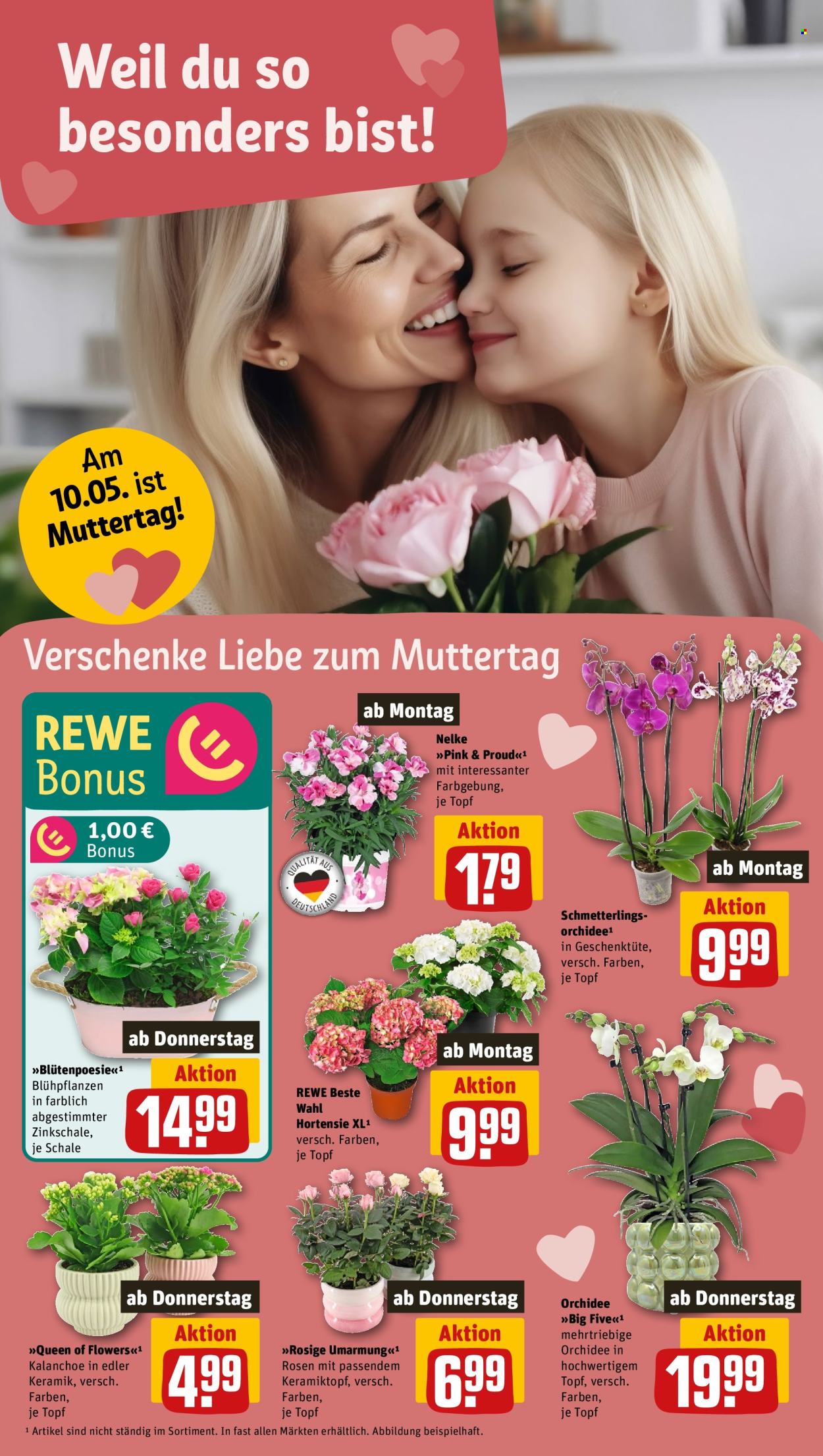 Leták REWE - 4.5.2026 - 10.5.2026. Strana 8