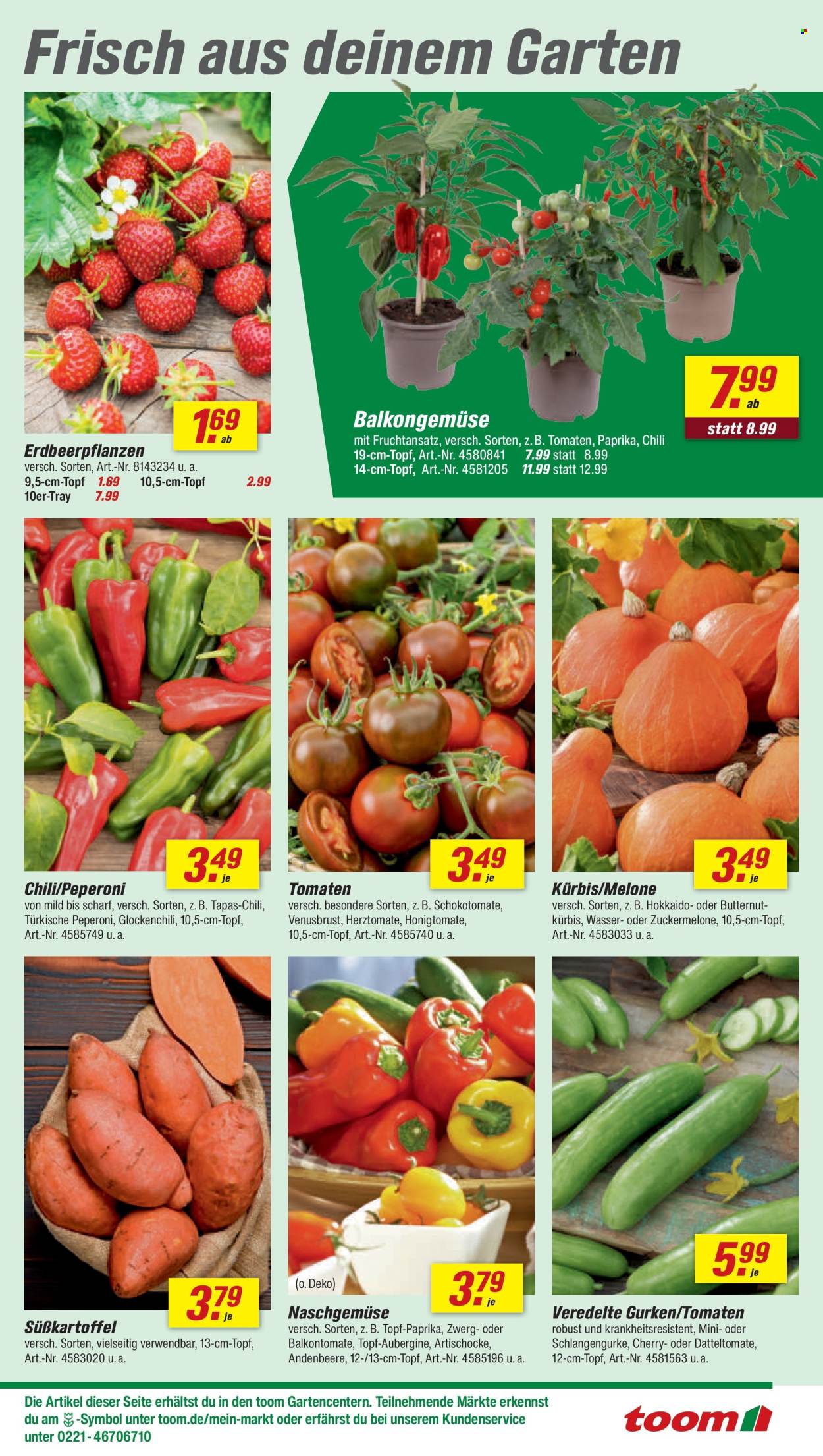toom Baumarkt Prospekte  - 2.05.2026 - 8.05.2026. Seite 5
