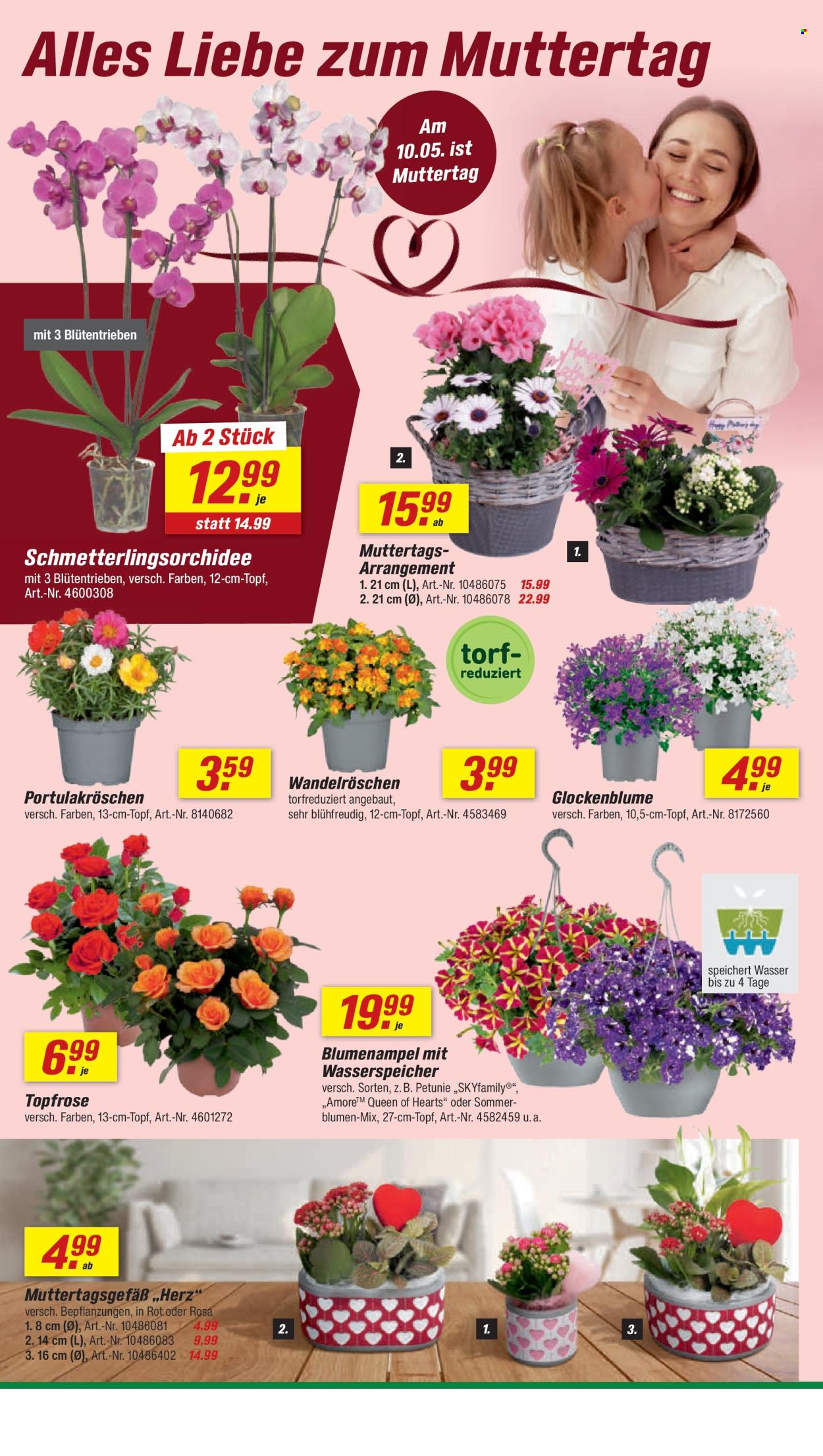 toom Baumarkt Prospekte  - 2.05.2026 - 8.05.2026. Seite 6