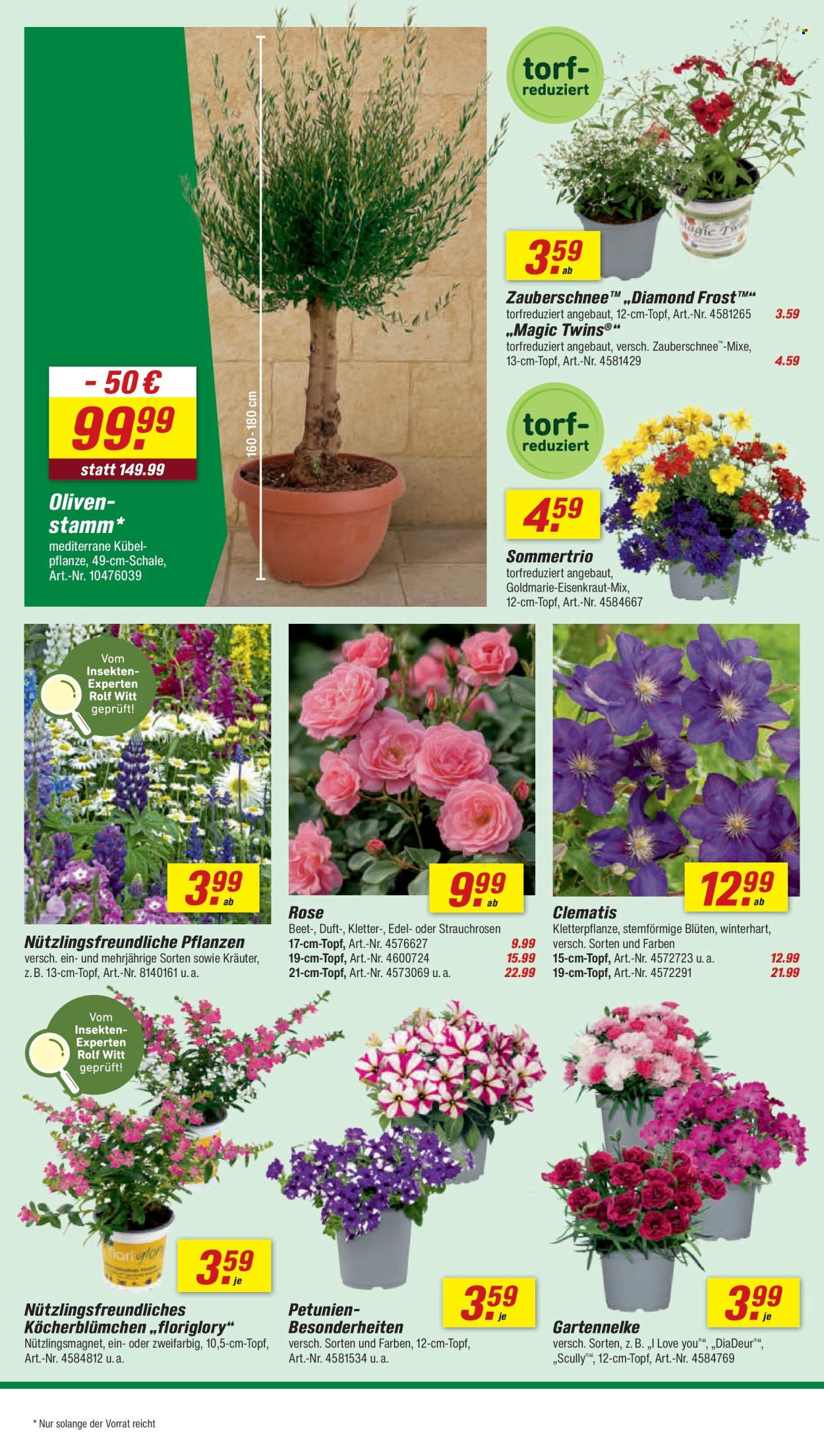 toom Baumarkt Prospekte  - 2.05.2026 - 8.05.2026. Seite 8