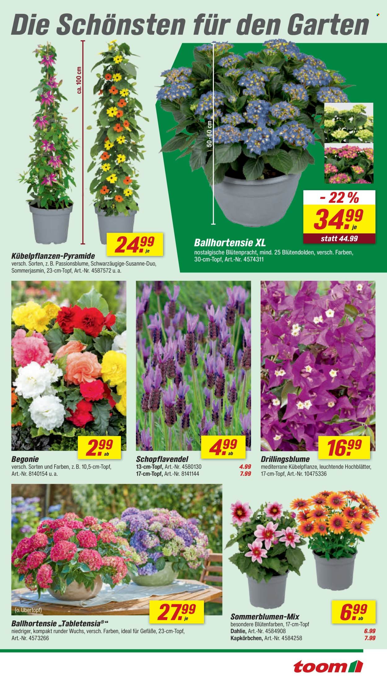toom Baumarkt Prospekte  - 2.05.2026 - 8.05.2026. Seite 11