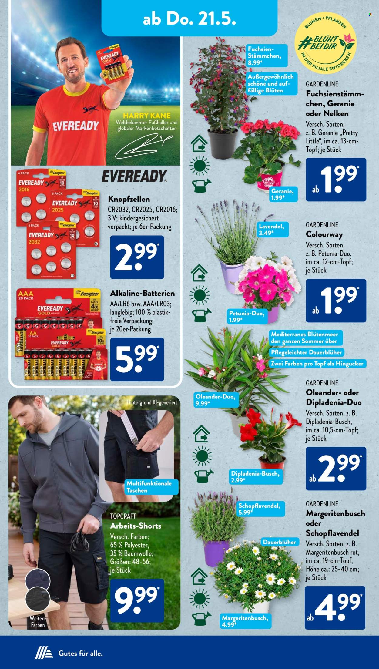 ALDI SÜD Prospekte  - 4.05.2026 - 4.05.2026. Seite 12