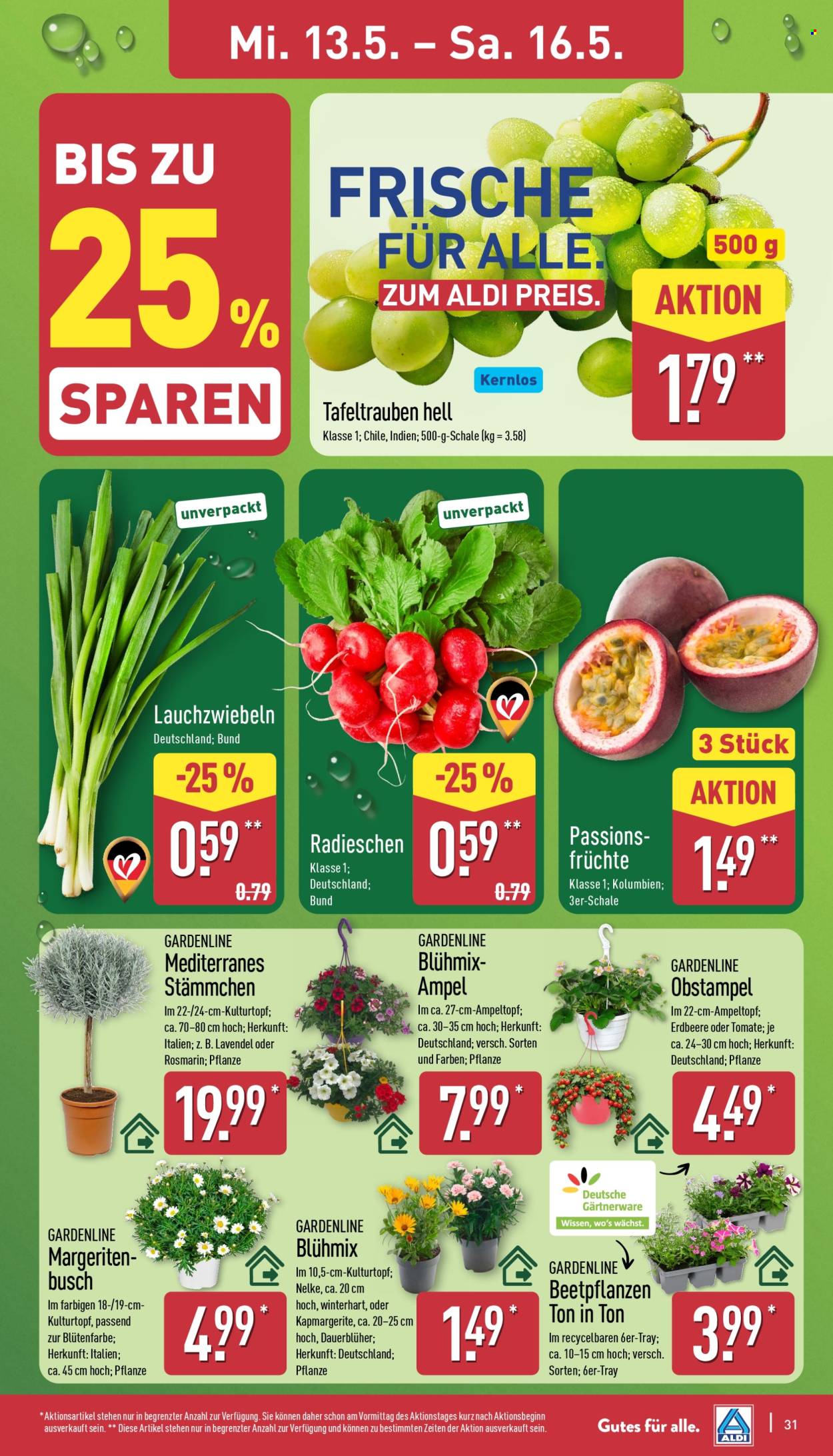 ALDI Nord Prospekte  - 11.05.2026 - 16.05.2026. Seite 31