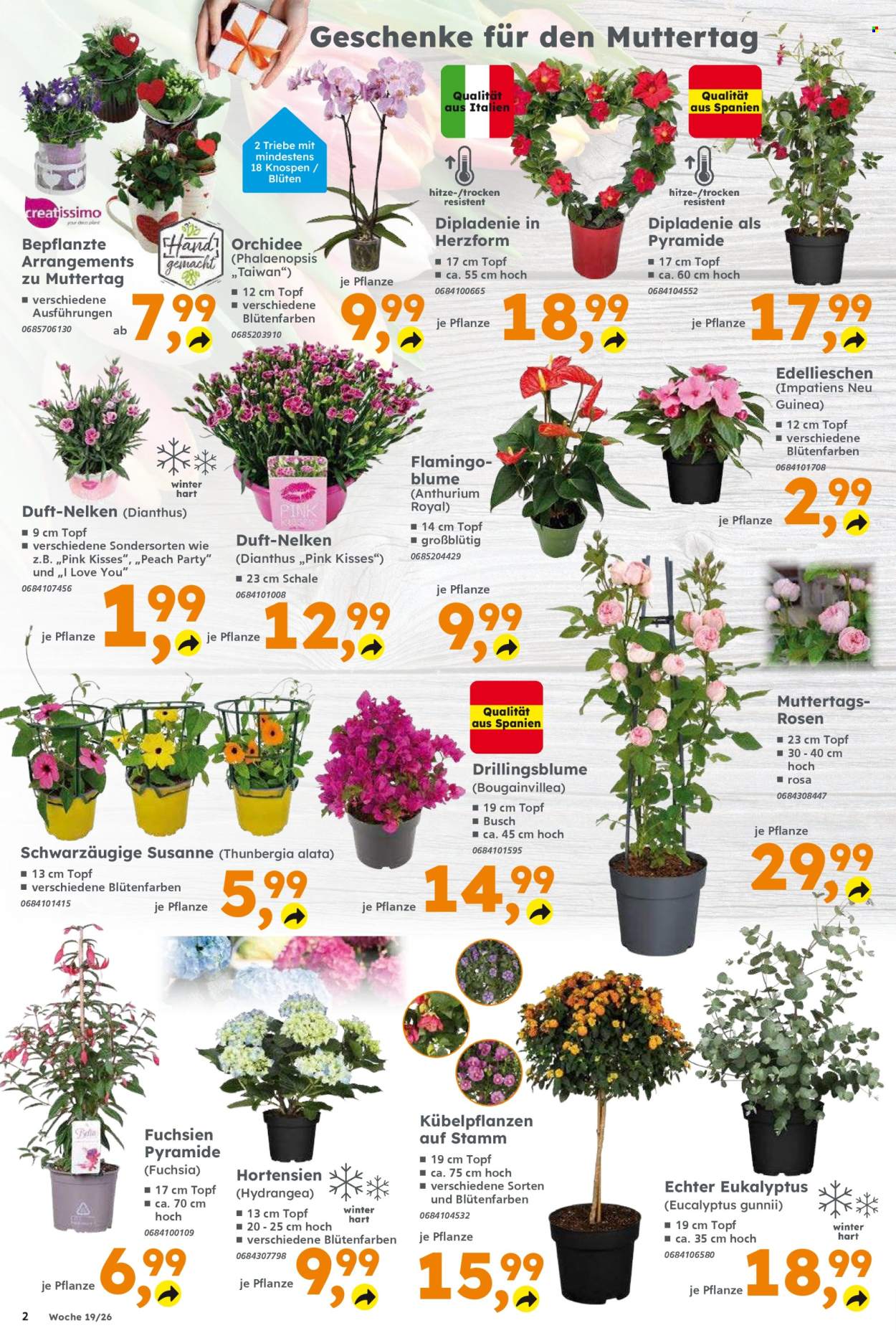 Globus Baumarkt Prospekte  - 4.05.2026 - 9.05.2026. Seite 2