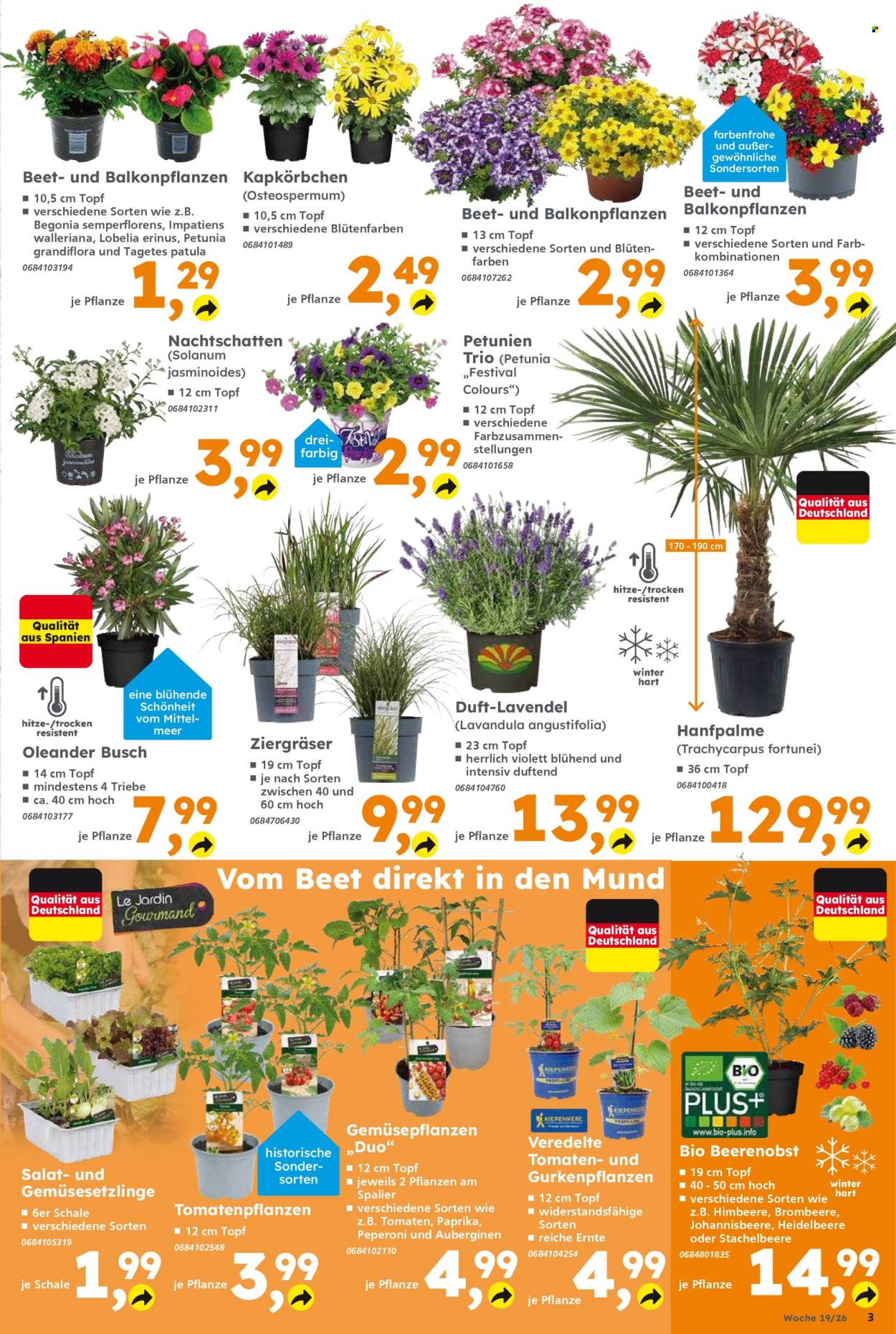 Globus Baumarkt Prospekte  - 4.05.2026 - 9.05.2026. Seite 3