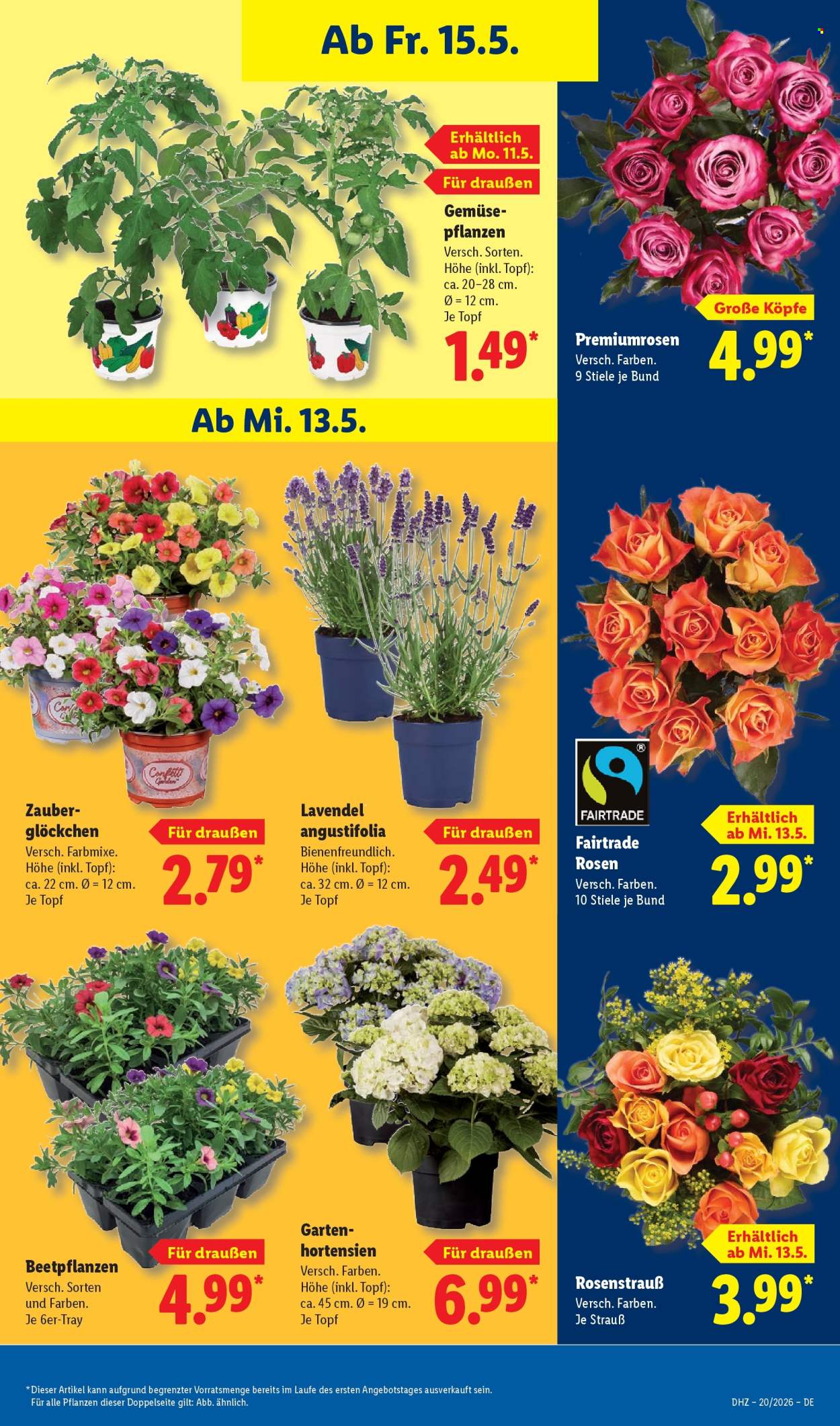 Lidl Prospekte  - 11.05.2026 - 16.05.2026. Seite 75