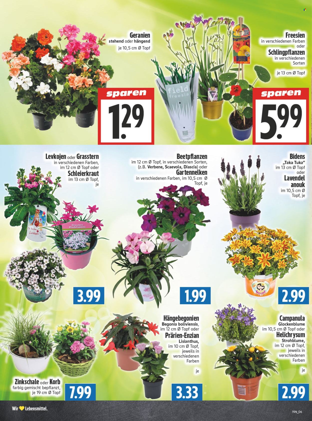 Edeka Prospekte  - 4.05.2026 - 9.05.2026. Seite 6