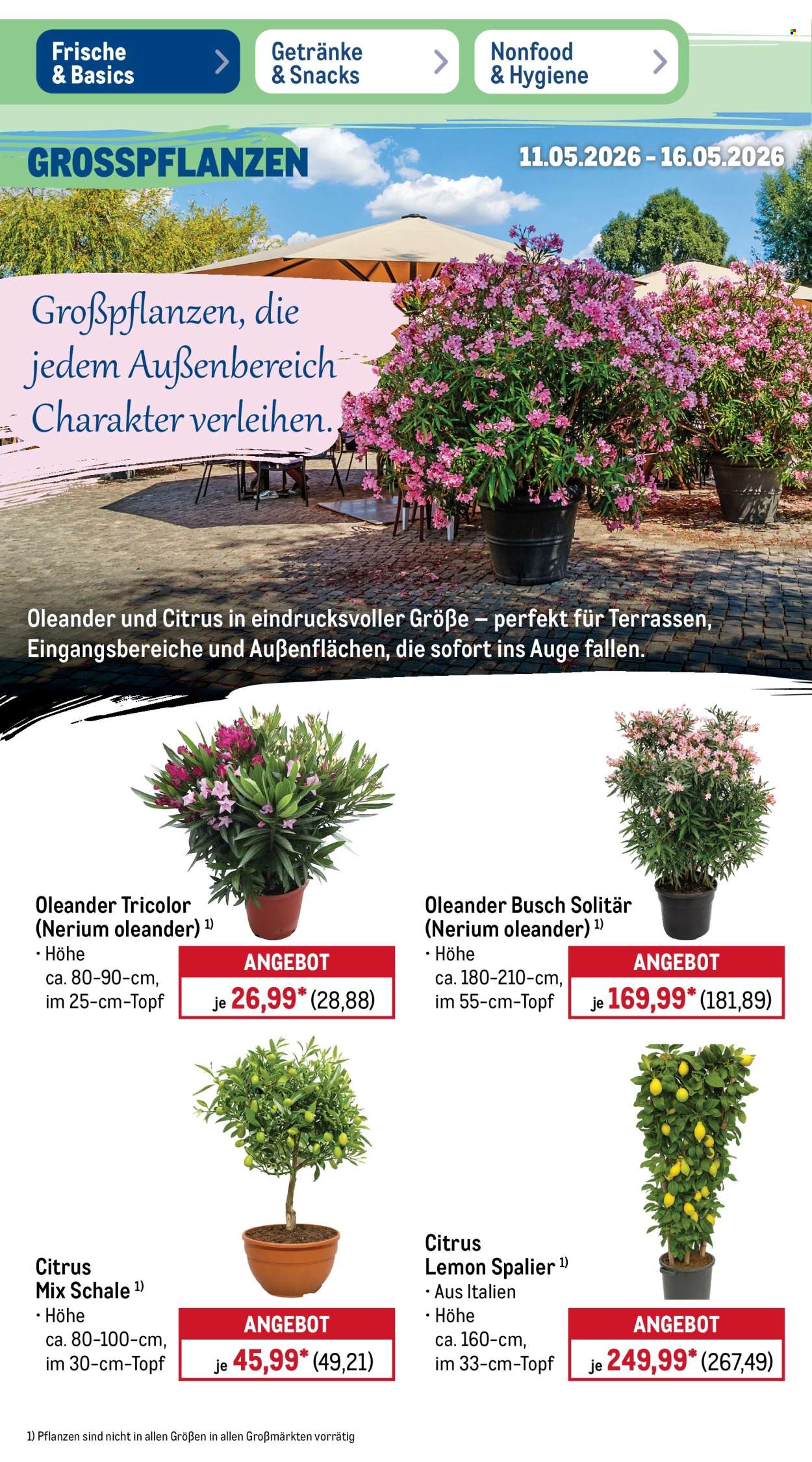 Metro Prospekte  - 11.05.2026 - 16.05.2026. Seite 8