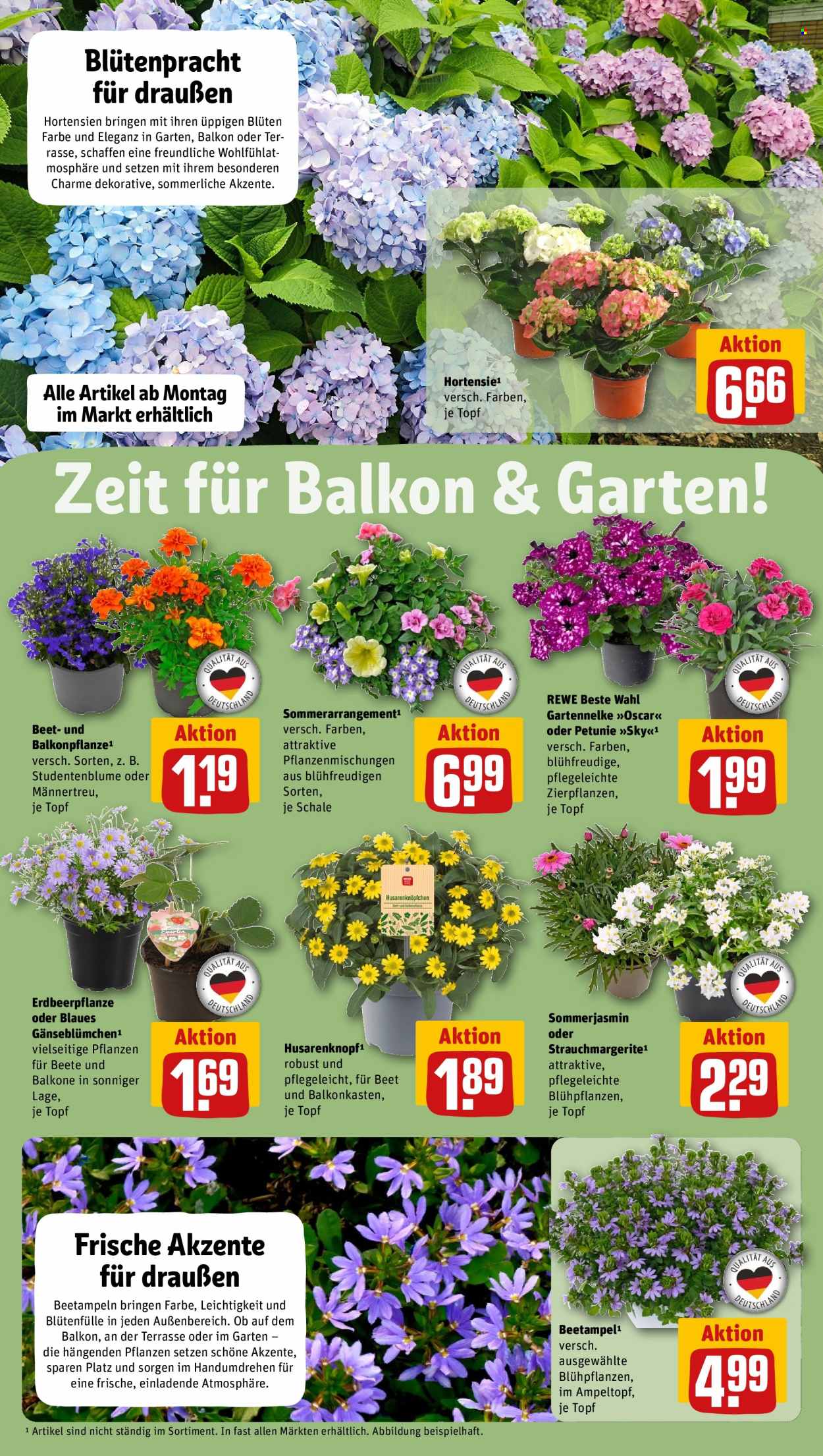 Leták REWE - 11.5.2026 - 17.5.2026. Strana 6