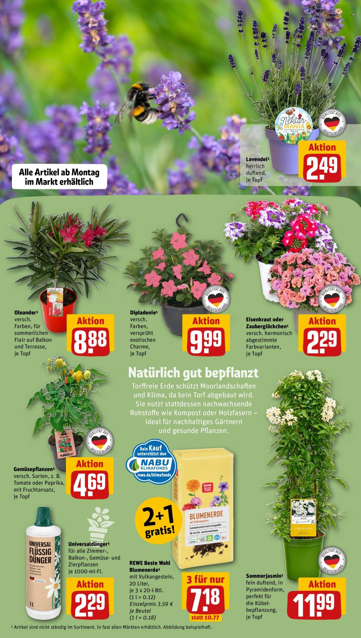 Leták REWE - 11.5.2026 - 17.5.2026. Strana 7