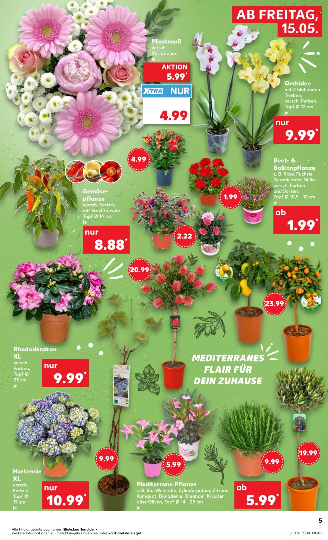 Kaufland Prospekte  - 15.05.2026 - 20.05.2026. Seite 5