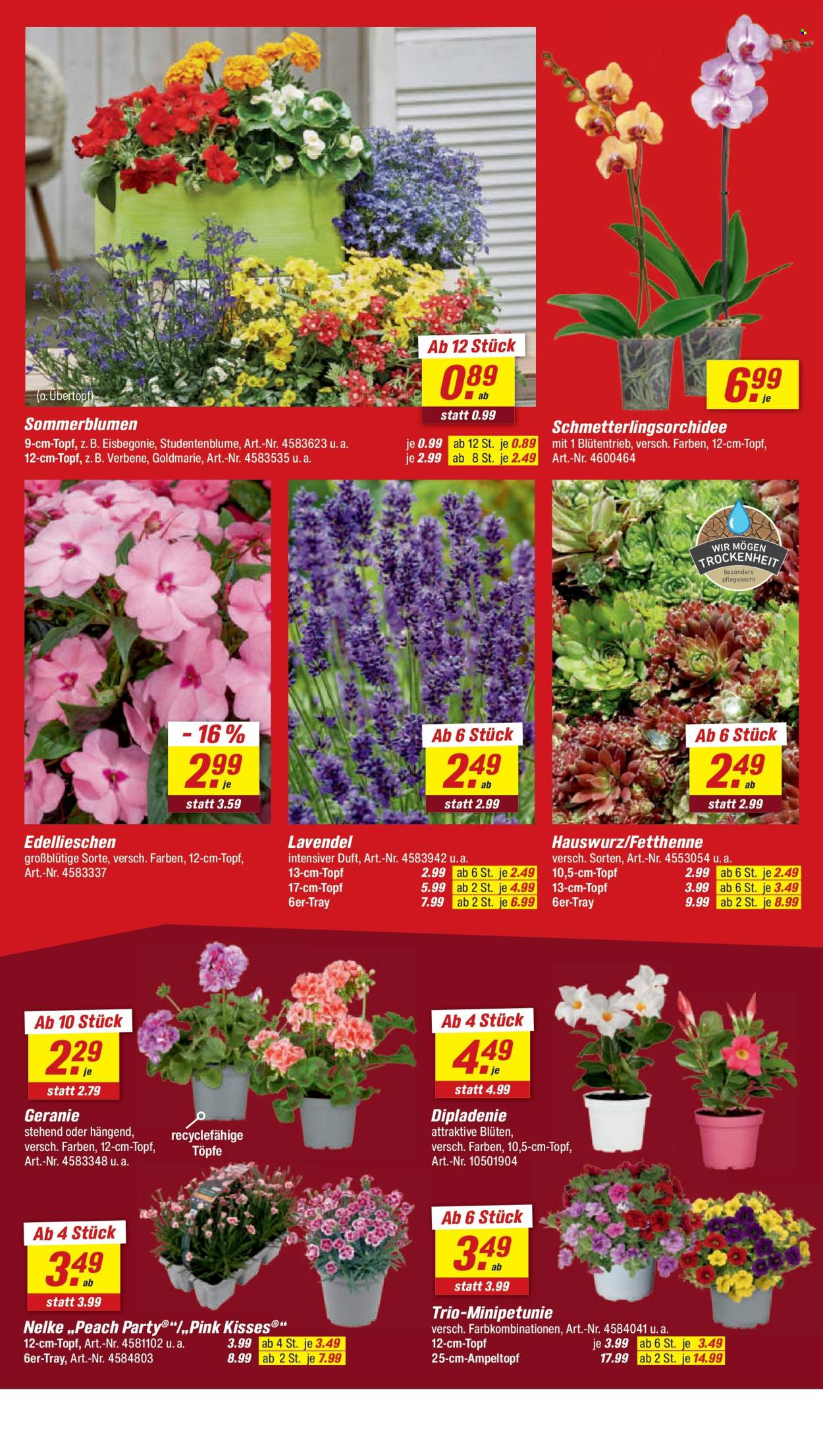 toom Baumarkt Prospekte  - 9.05.2026 - 15.05.2026. Seite 4