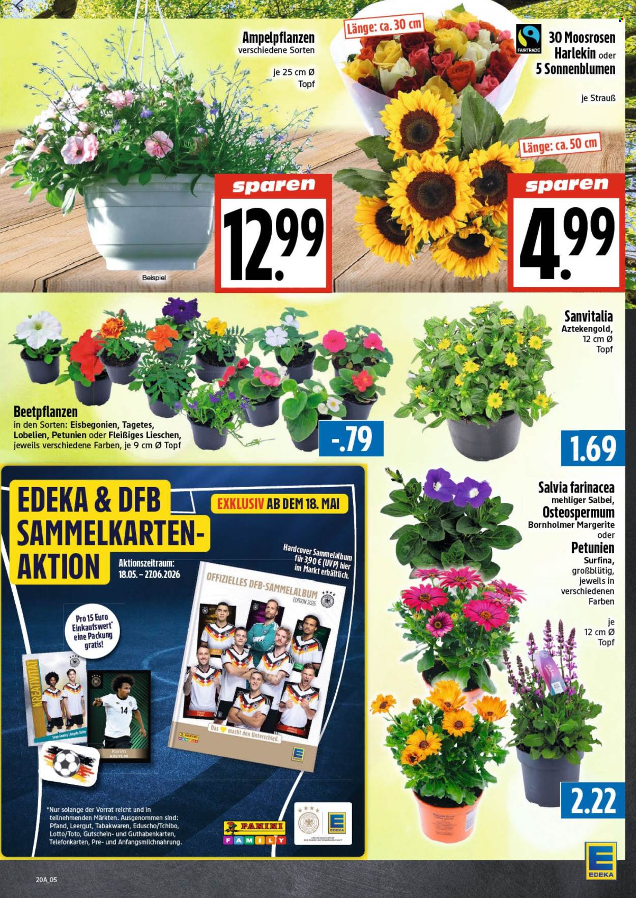 Edeka Prospekte  - 11.05.2026 - 16.05.2026. Seite 5