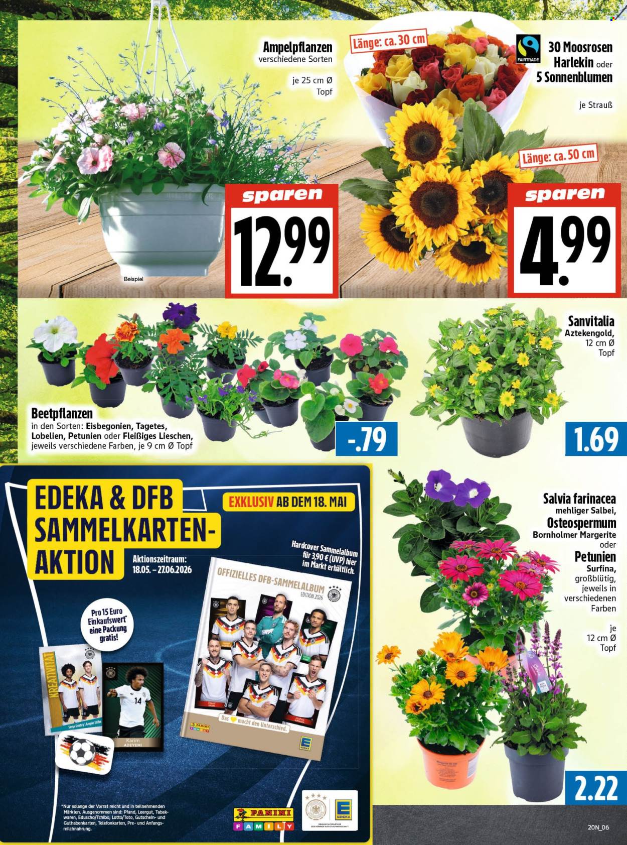 Edeka Prospekte  - 11.05.2026 - 16.05.2026. Seite 6
