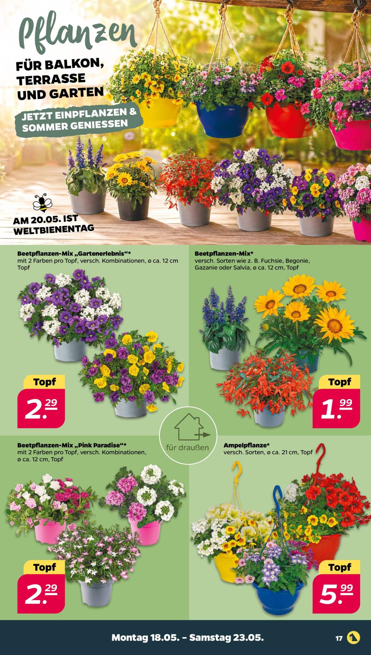 Netto Prospekte  - 18.05.2026 - 23.05.2026. Seite 19