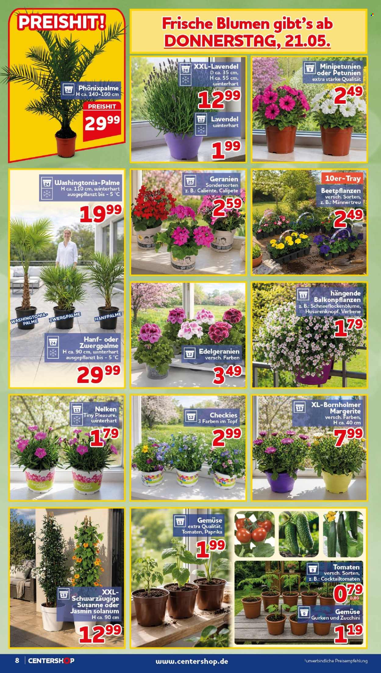 CENTERSHOP Prospekte  - 18.05.2026 - 23.05.2026. Seite 8