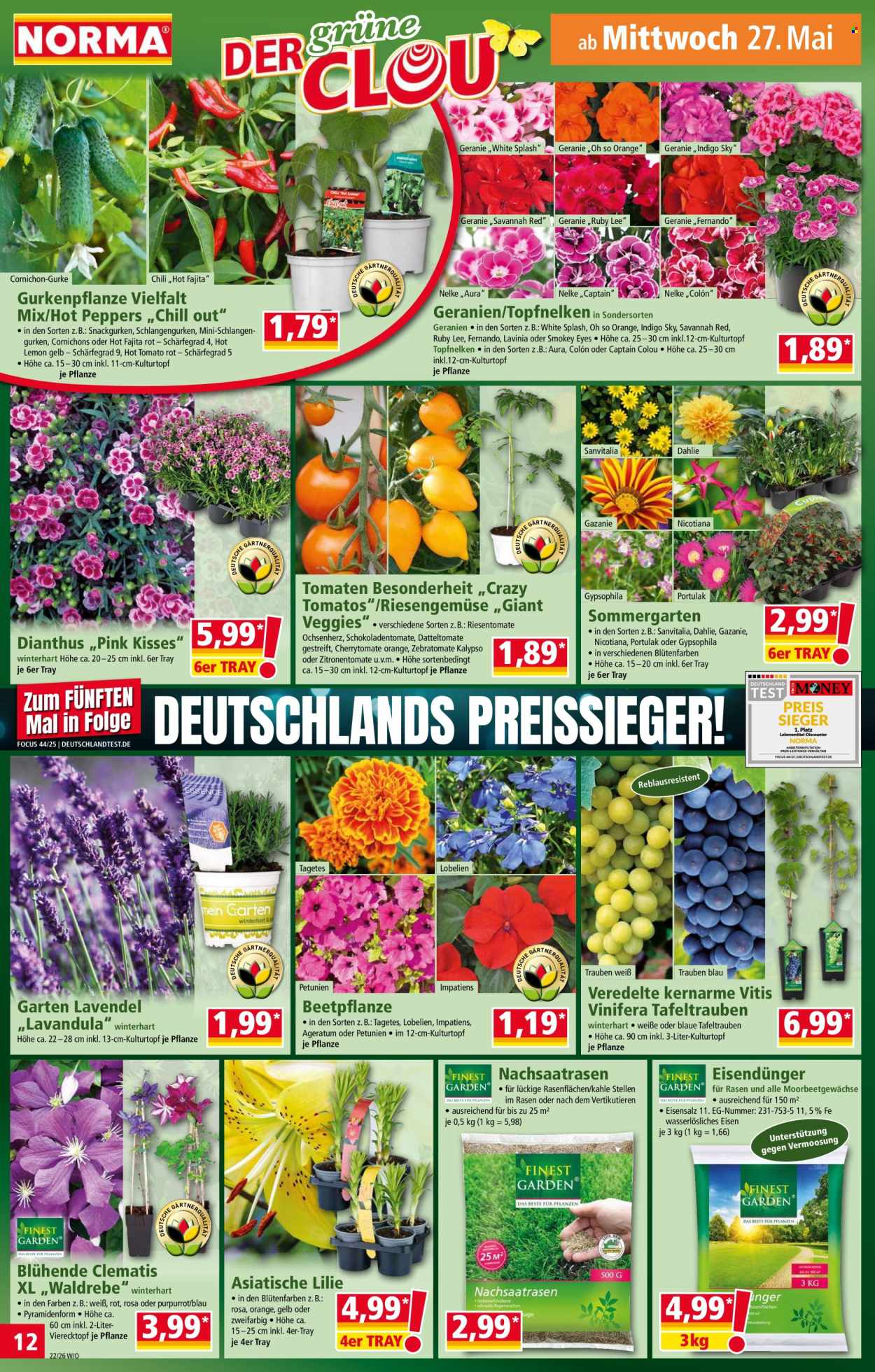 Norma Prospekte  - 26.05.2026 - 31.05.2026. Seite 12