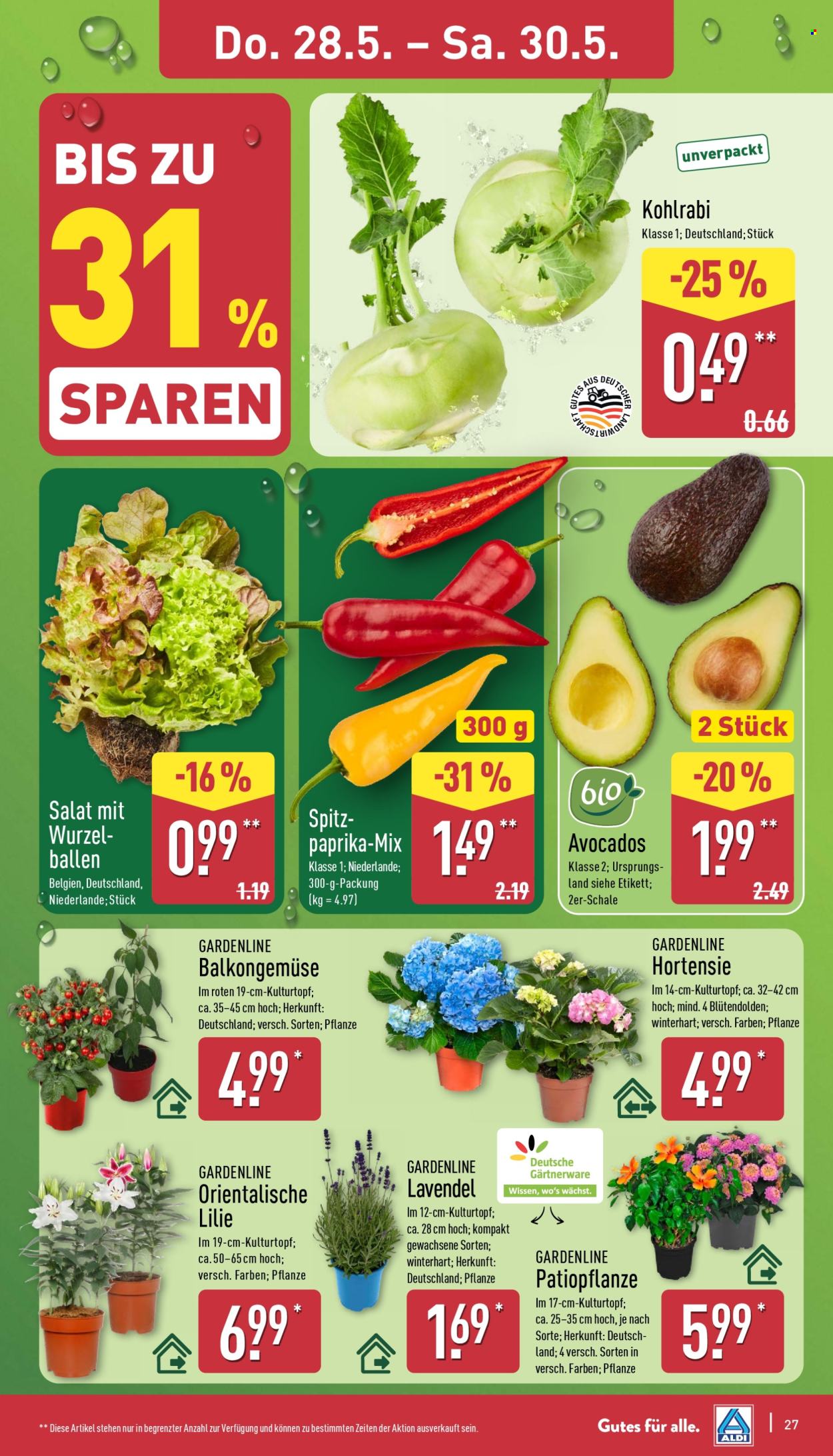 ALDI Nord Prospekte  - 26.05.2026 - 30.05.2026. Seite 27