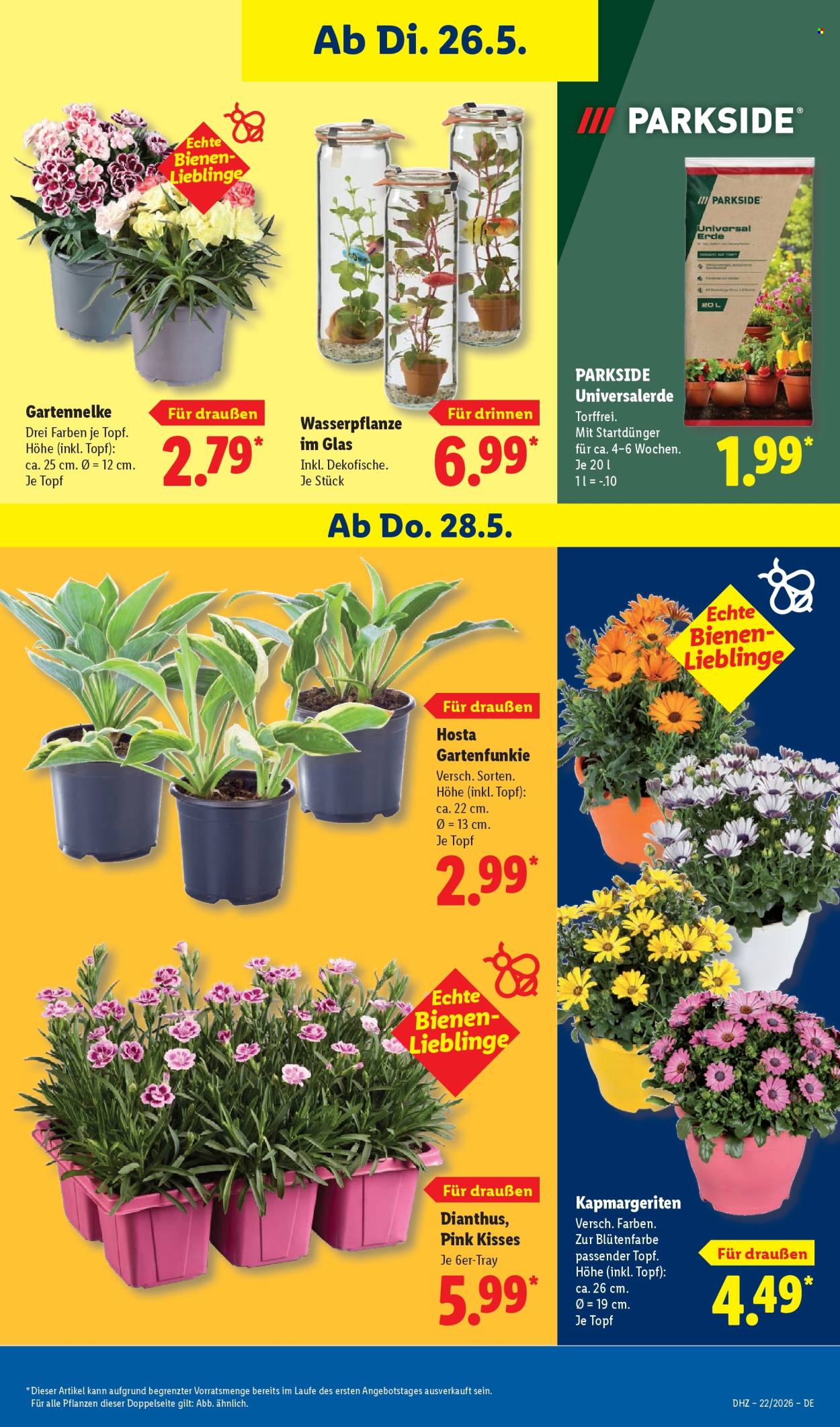Lidl Prospekte  - 26.05.2026 - 30.05.2026. Seite 73