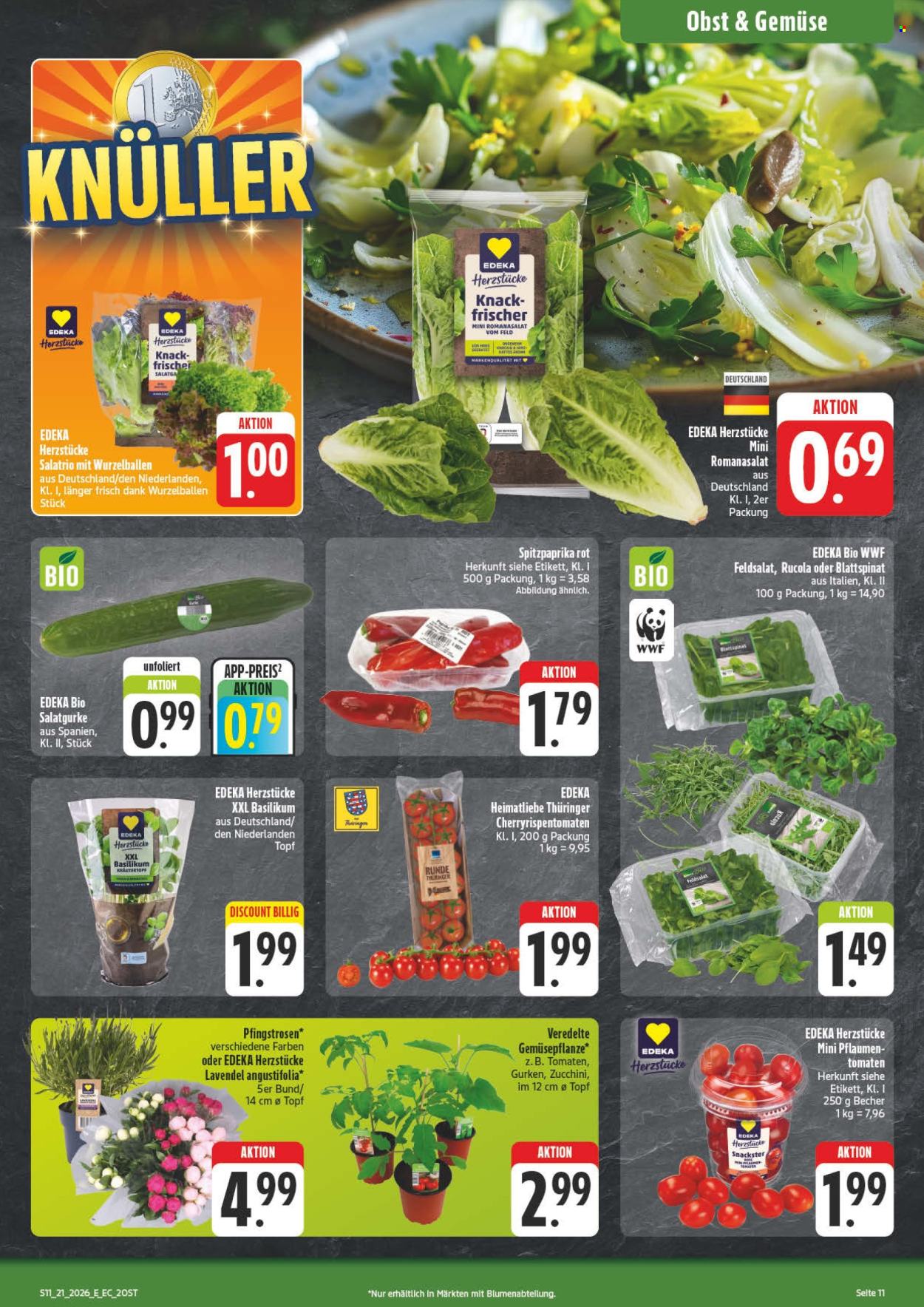 Edeka Prospekte  - 18.05.2026 - 23.05.2026. Seite 13