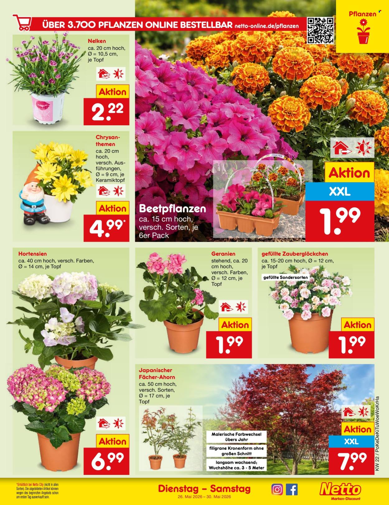 Netto Marken-Discount Prospekte  - 26.05.2026 - 30.05.2026. Seite 9