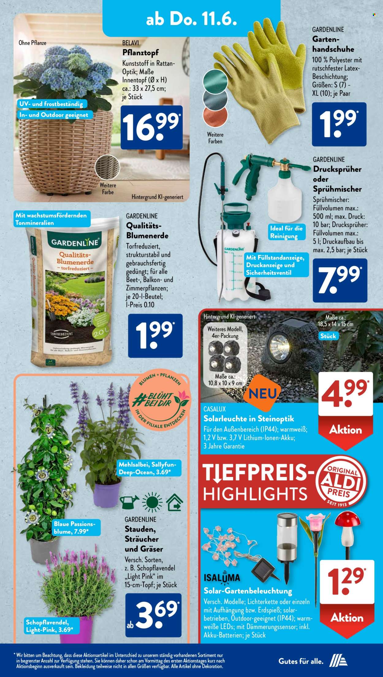 ALDI SÜD Prospekte  - 24.05.2026 - 24.05.2026. Seite 8
