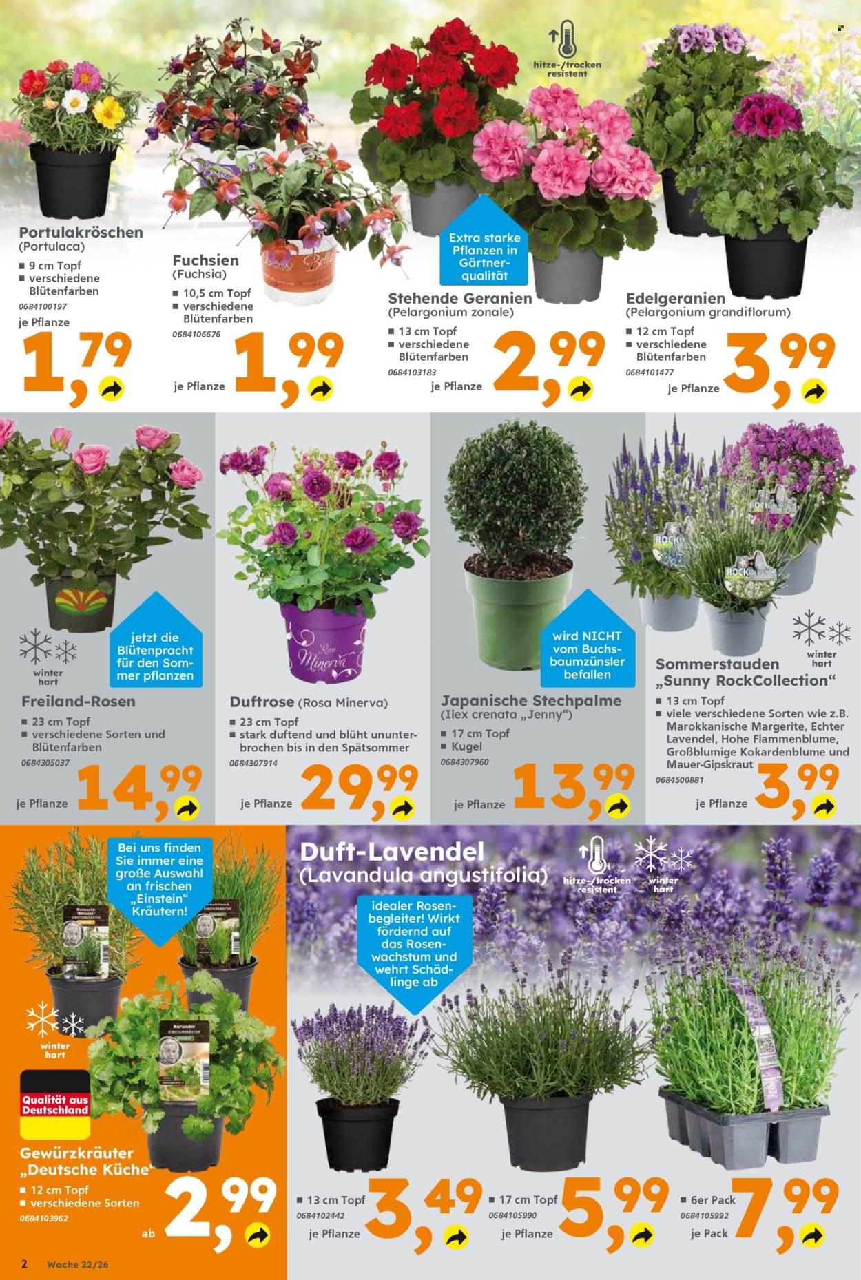 Globus Baumarkt Prospekte  - 26.05.2026 - 30.05.2026. Seite 2