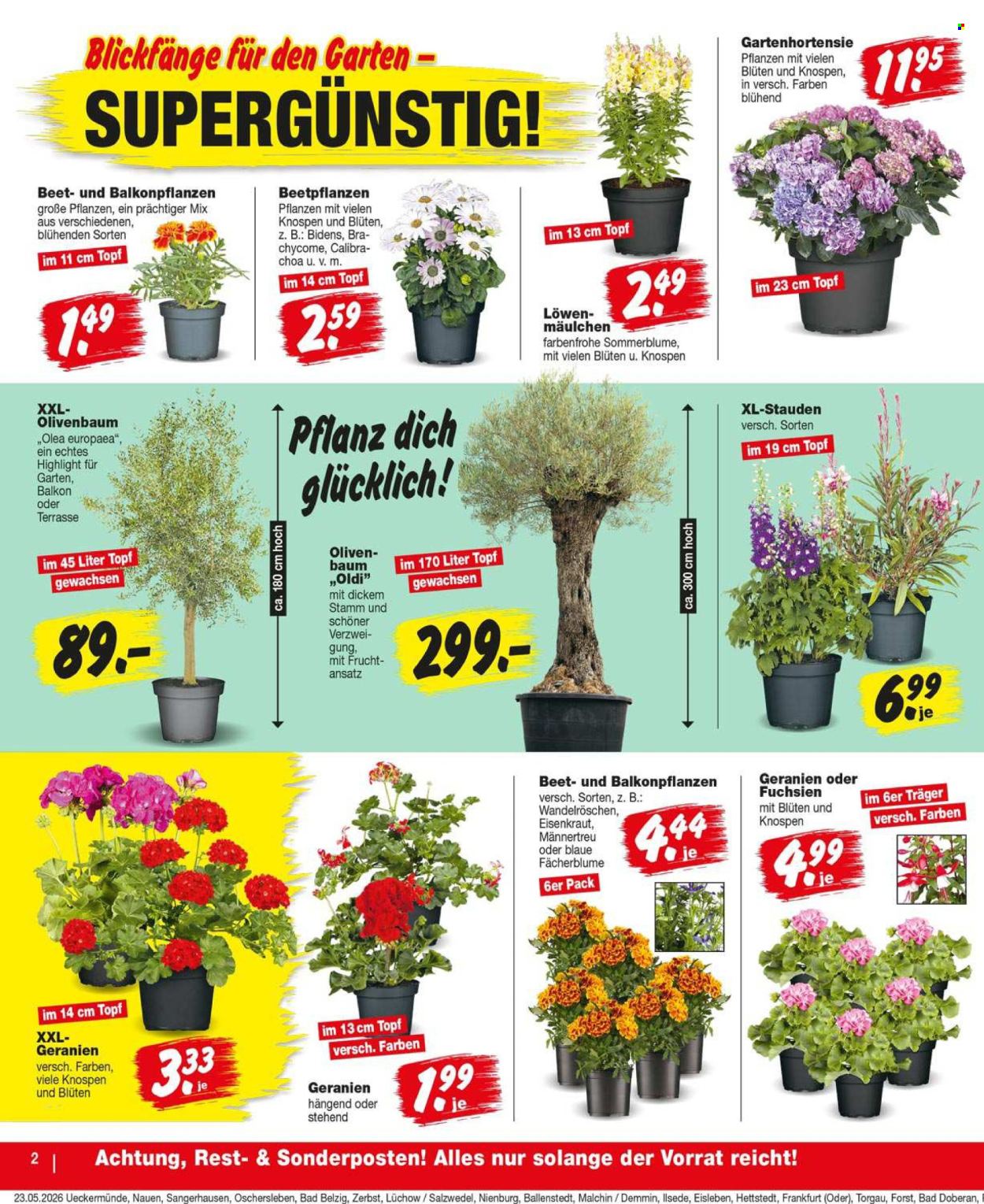 Repo Prospekte  - 26.05.2026 - 30.05.2026. Seite 2