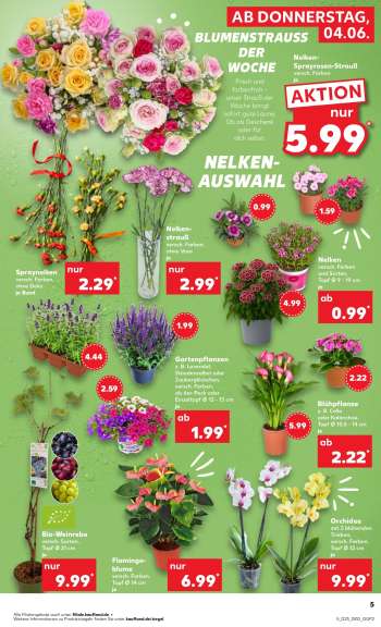 thumbnail - Gartenpflanzen