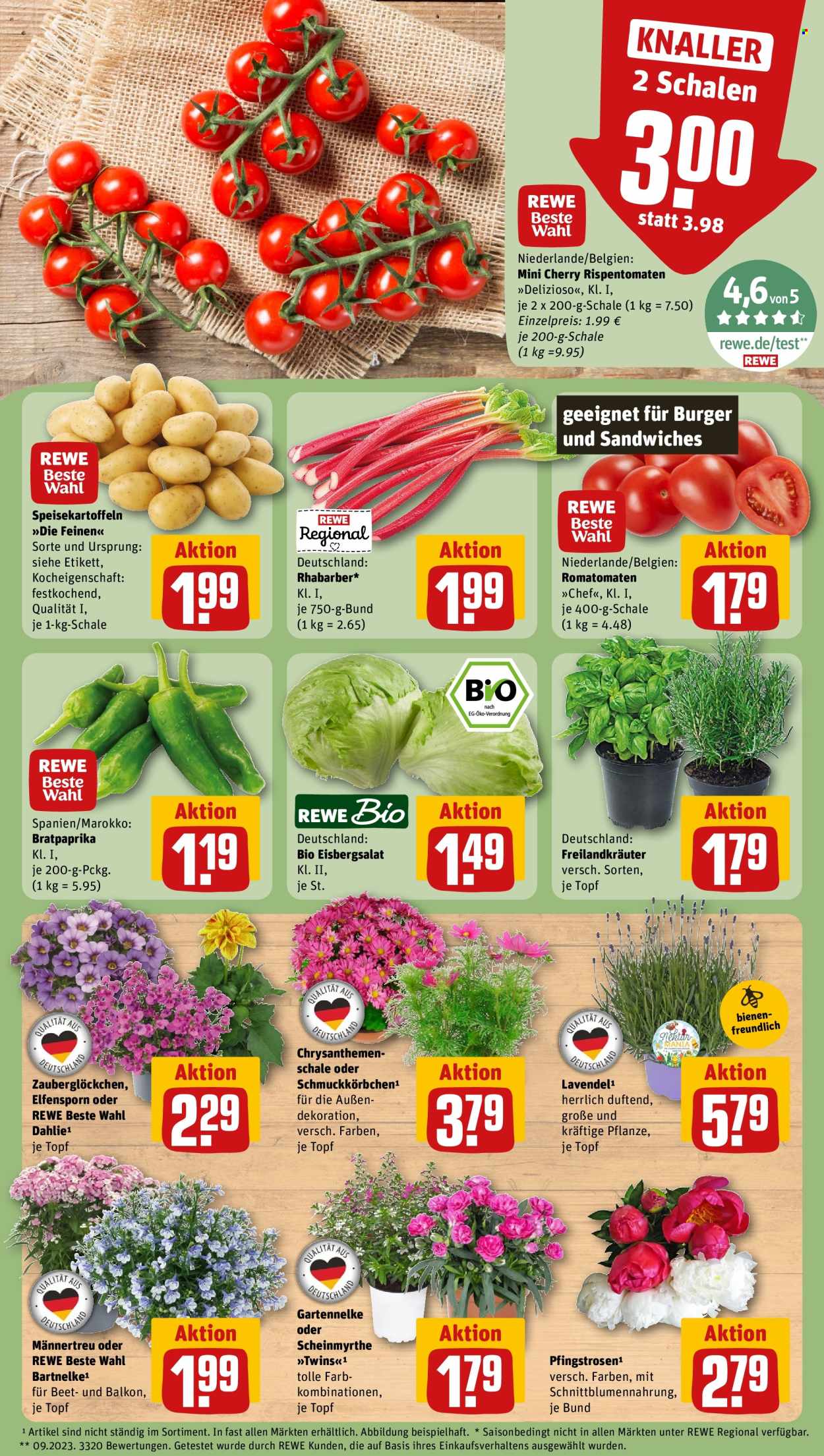 Leták REWE - 1.6.2026 - 7.6.2026. Strana 5
