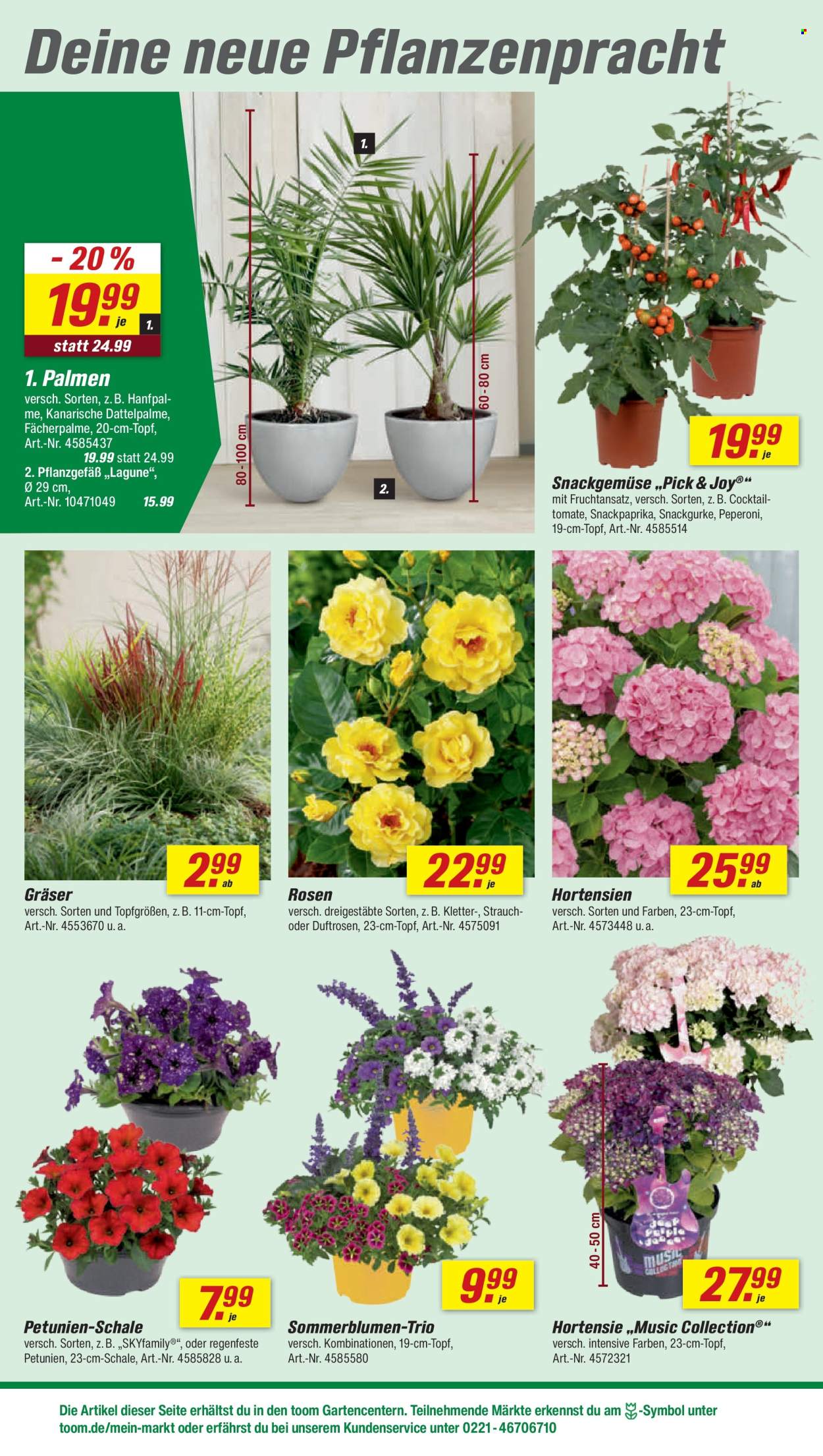 toom Baumarkt Prospekte  - 30.05.2026 - 5.06.2026. Seite 8