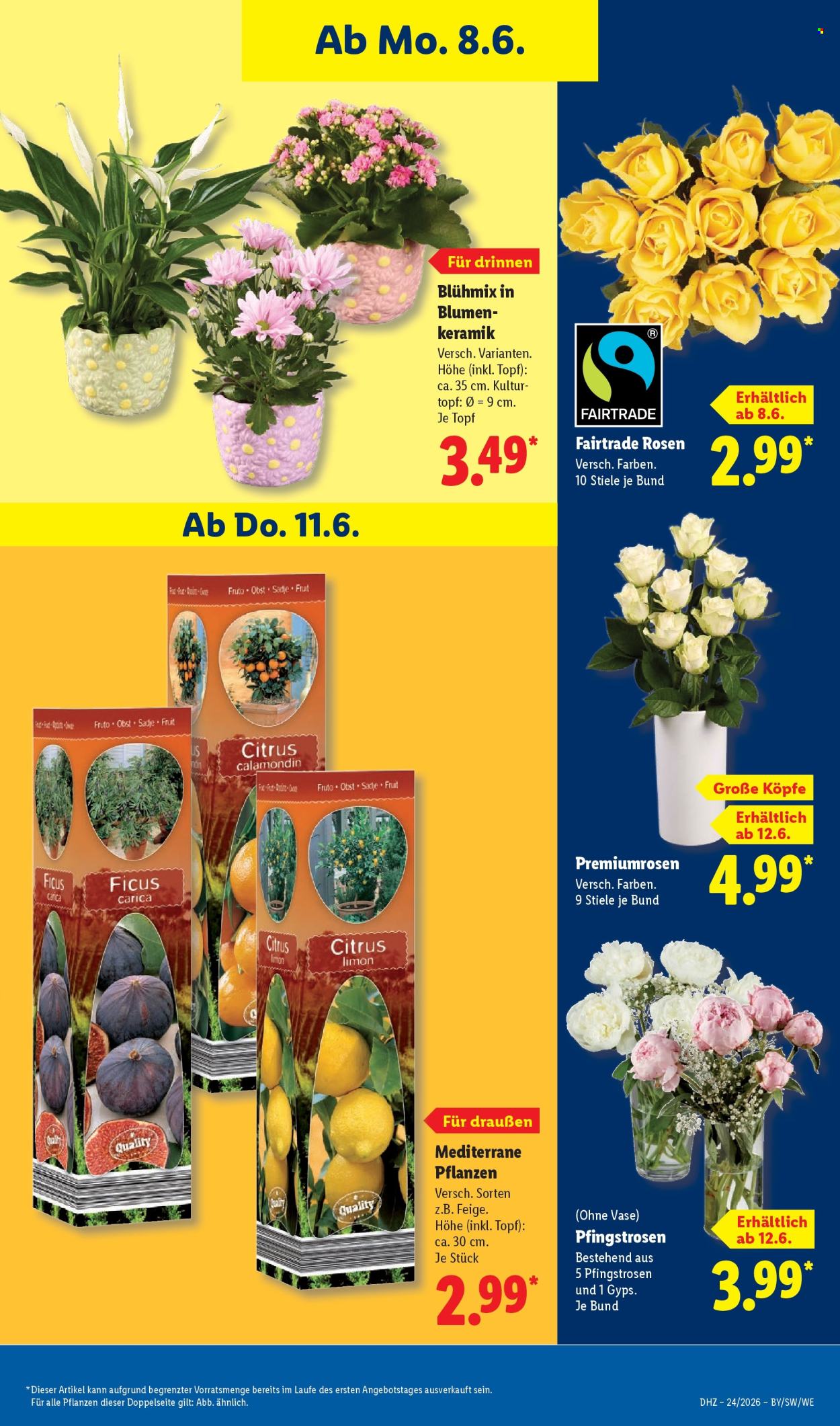 Leták Lidl - 8.6.2026 - 13.6.2026. Strana 69