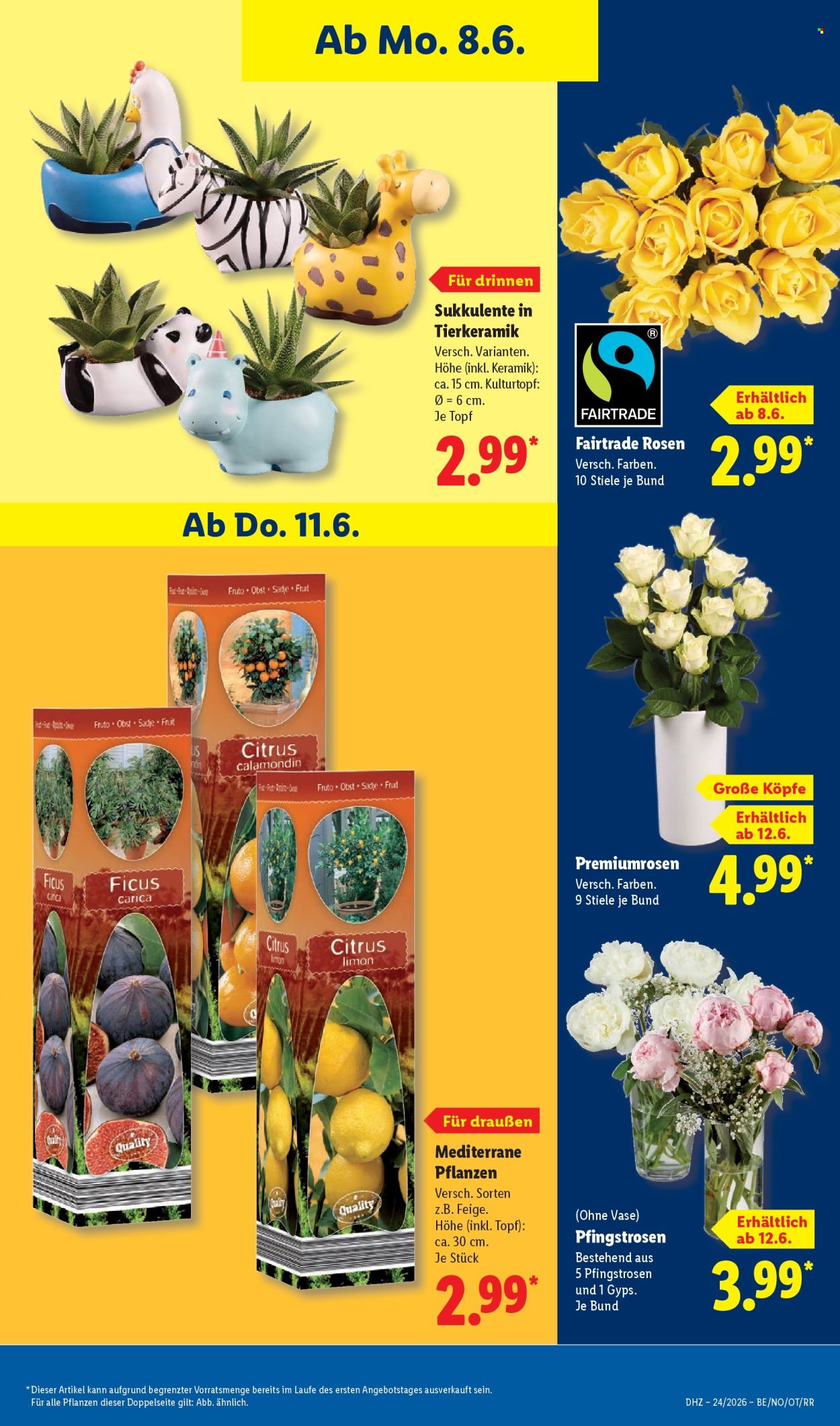 Leták Lidl - 8.6.2026 - 13.6.2026. Strana 73