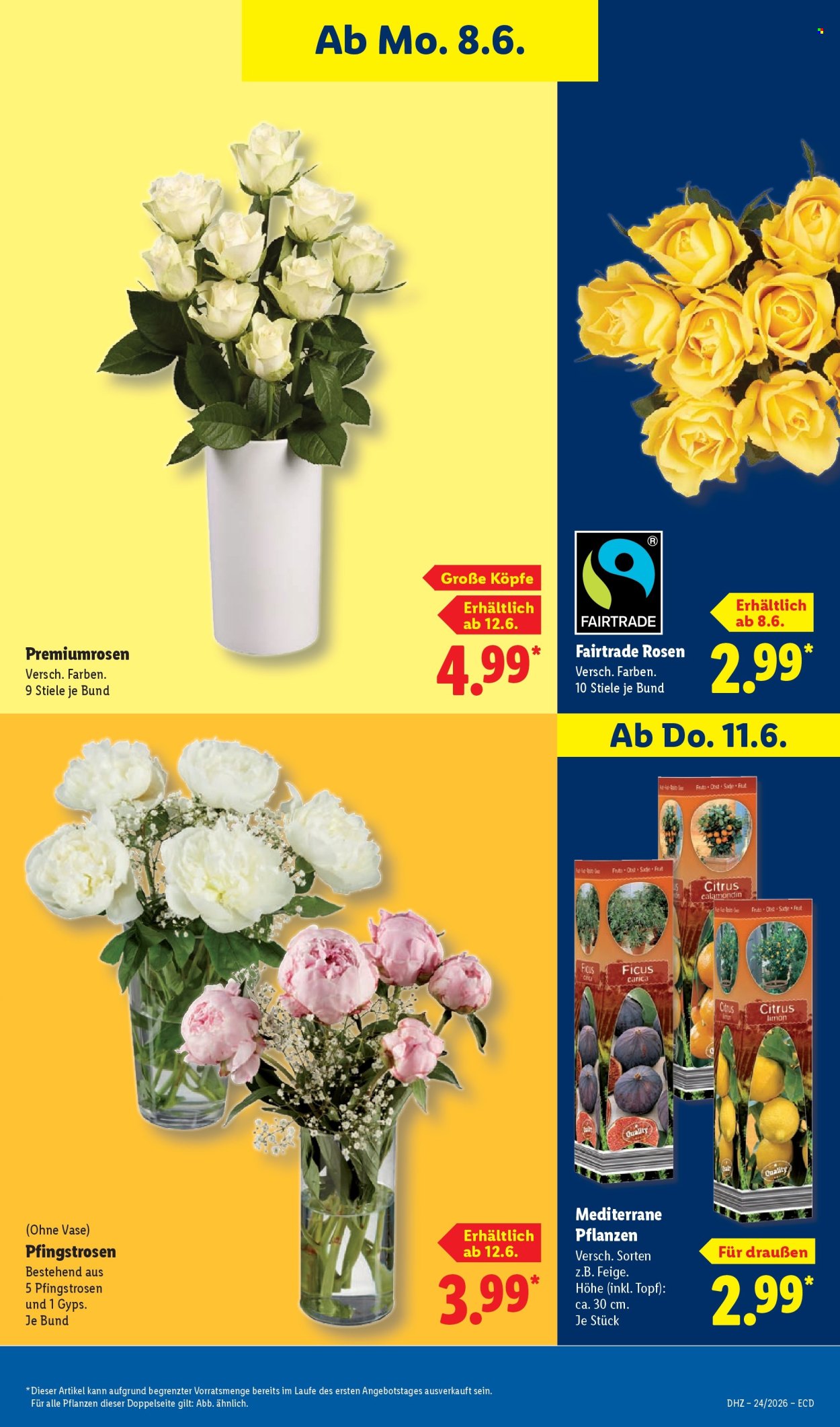 Leták Lidl - 8.6.2026 - 13.6.2026. Strana 69