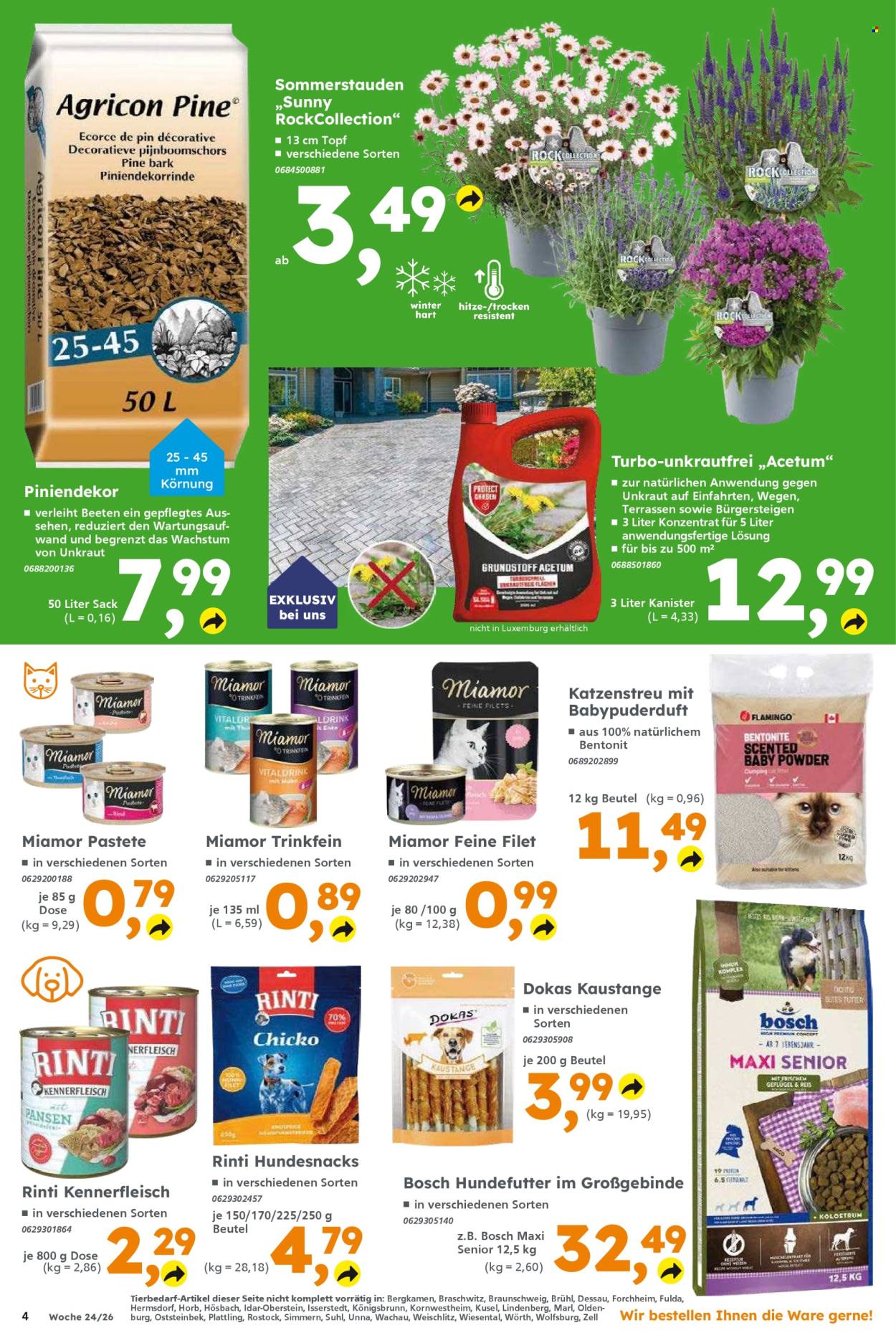Globus Baumarkt Prospekte  - 8.06.2026 - 13.06.2026. Seite 4