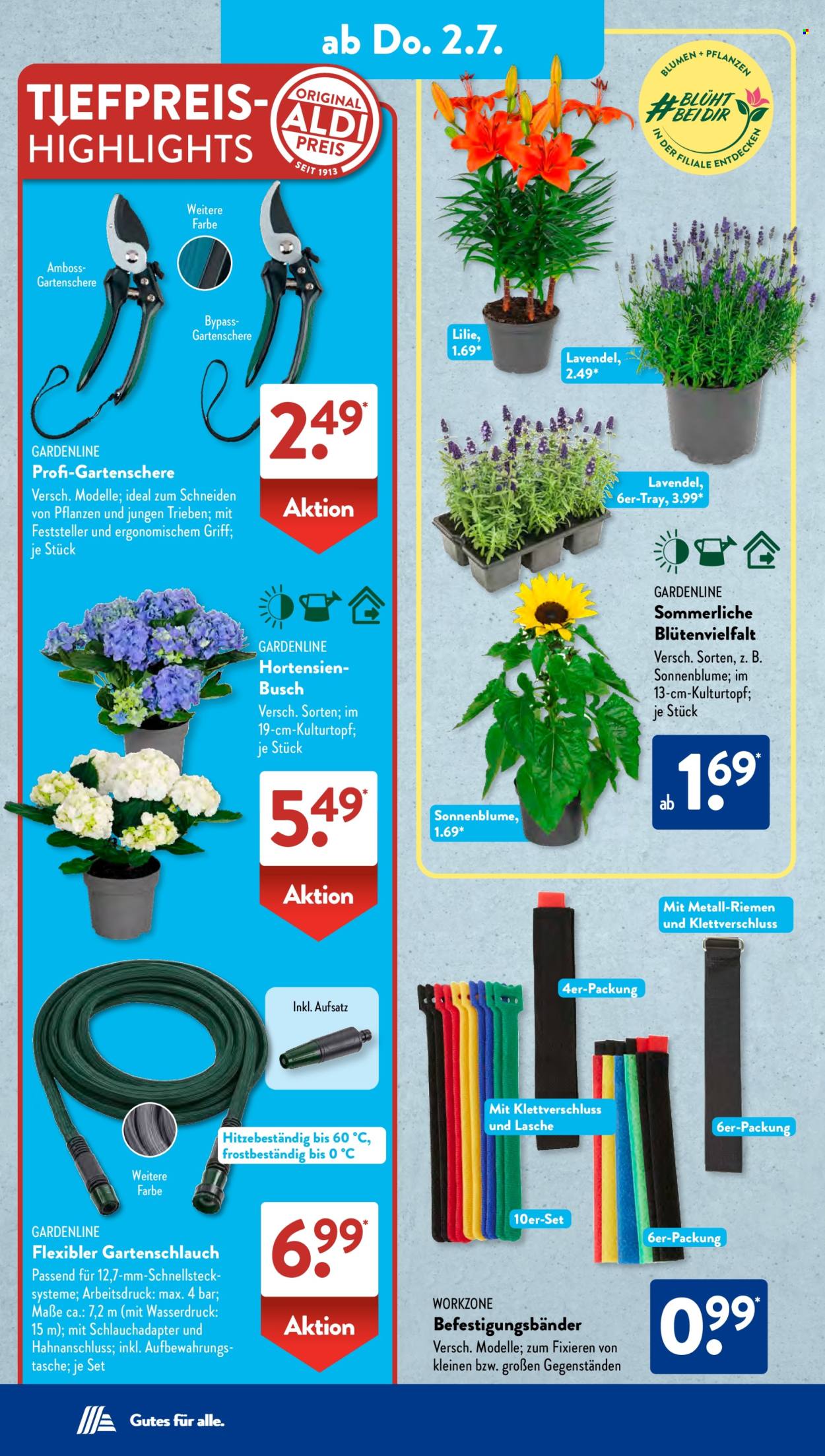 ALDI SÜD Prospekte  - 15.06.2026 - 15.06.2026. Seite 12