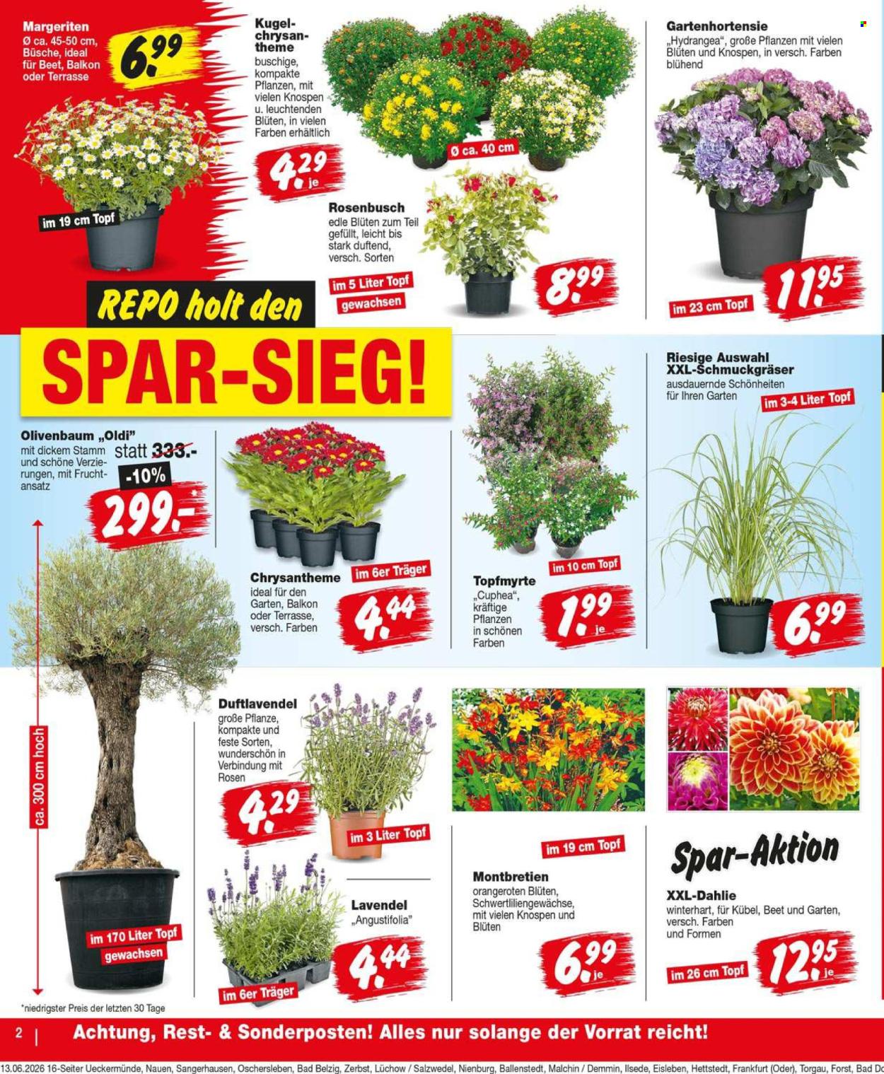 Repo Prospekte  - 15.06.2026 - 20.06.2026. Seite 2