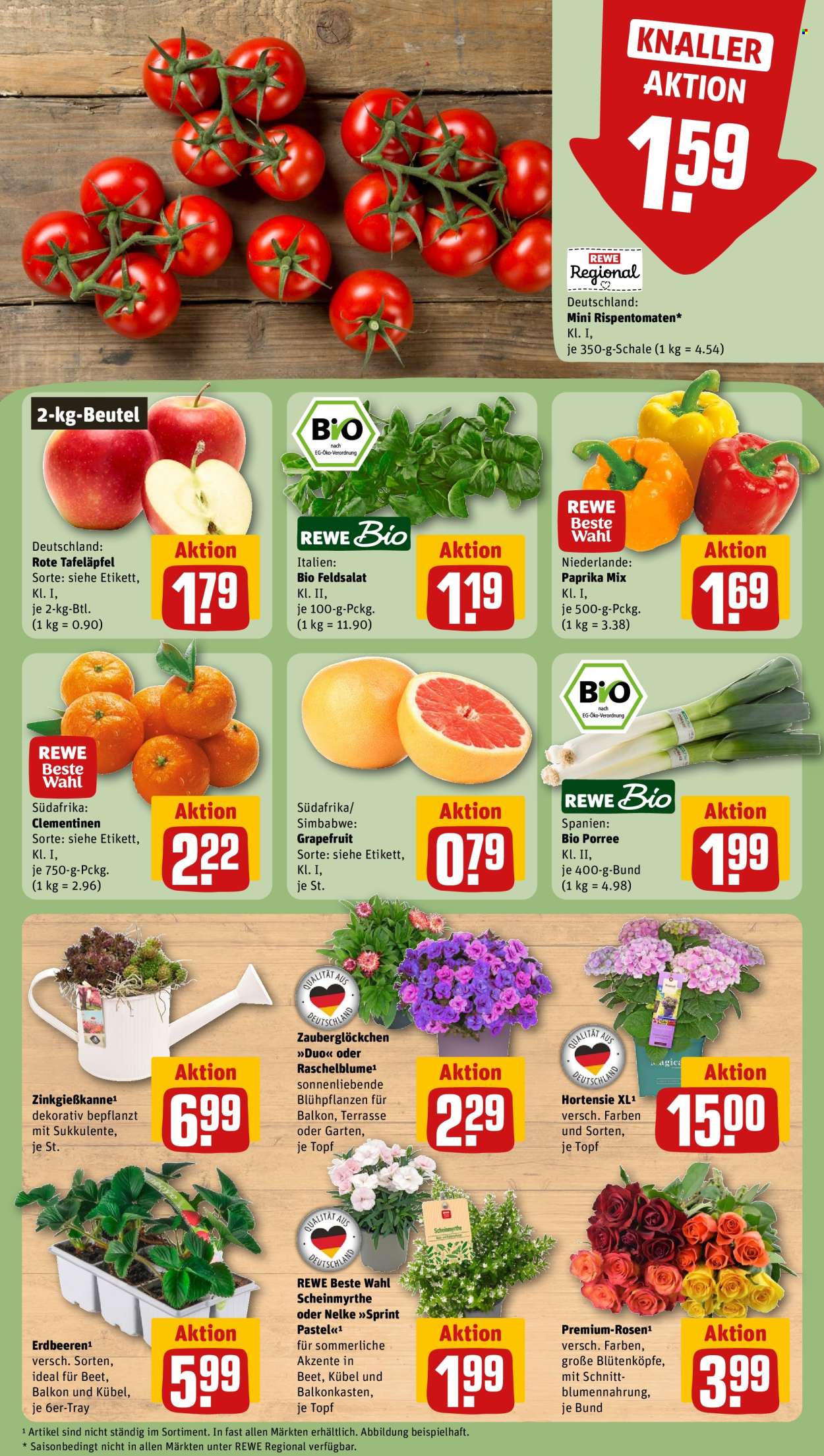 REWE Prospekte  - 22.06.2026 - 28.06.2026. Seite 9