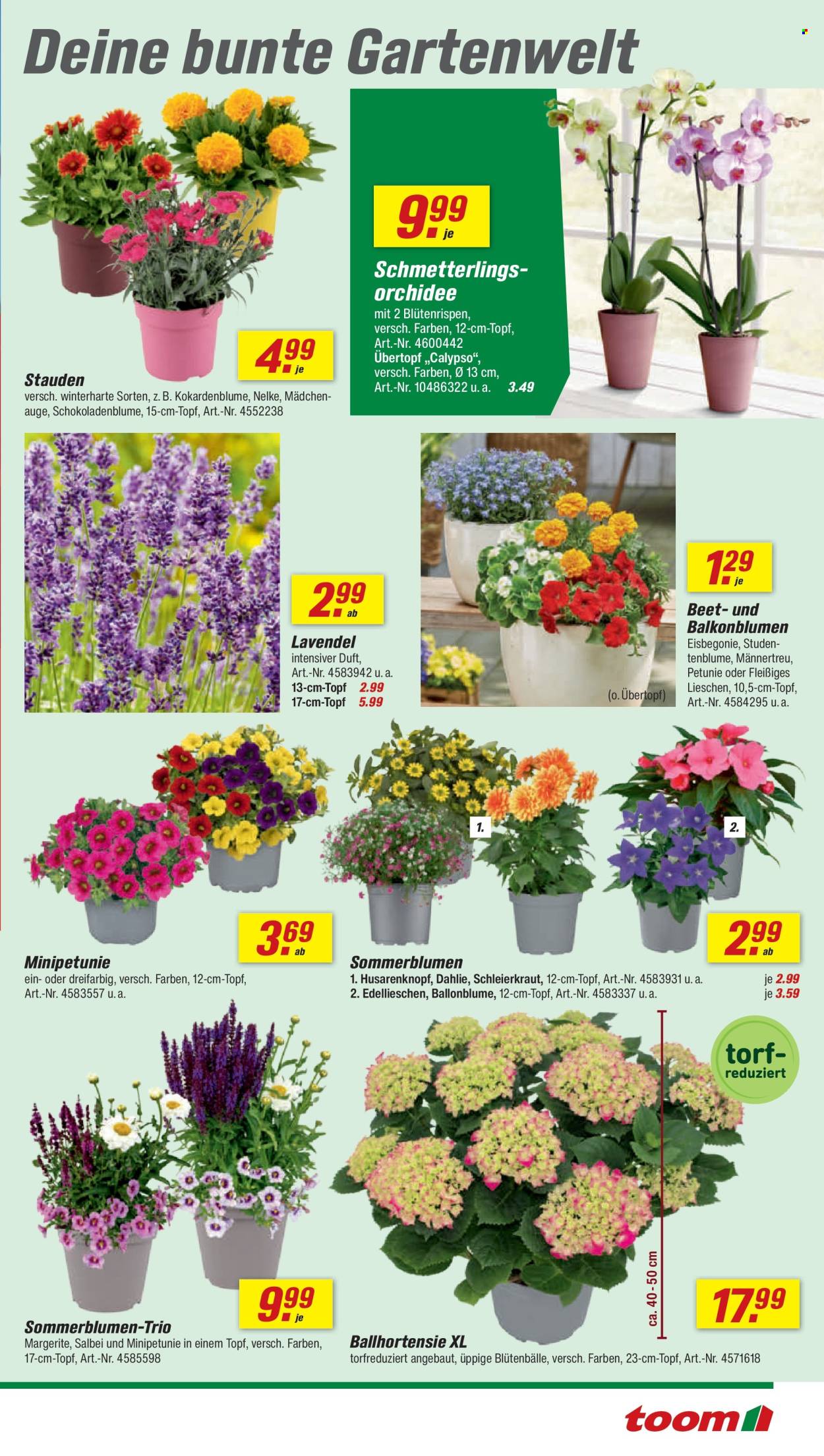 toom Baumarkt Prospekte  - 20.06.2026 - 26.06.2026. Seite 5